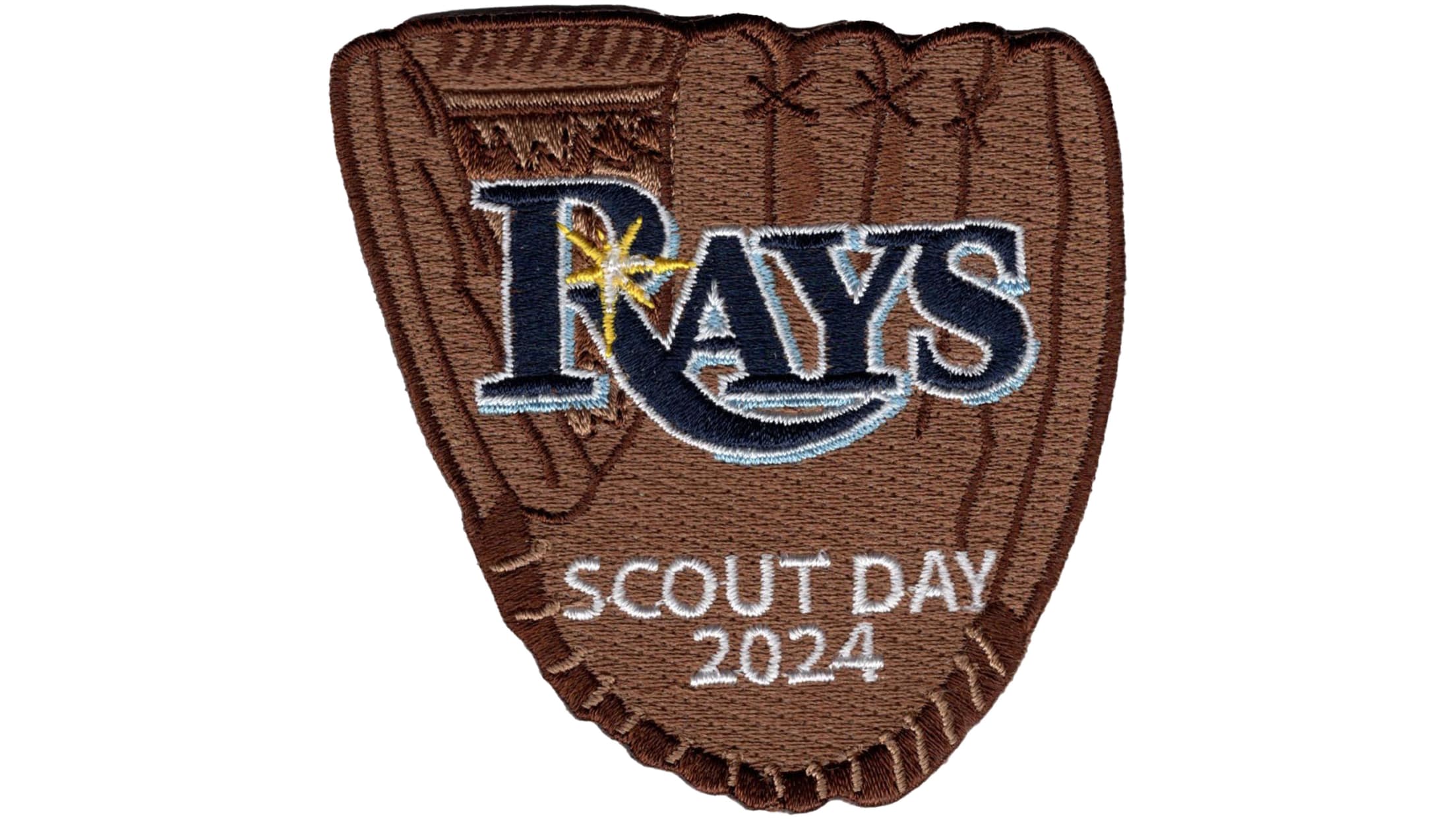 Scout Day