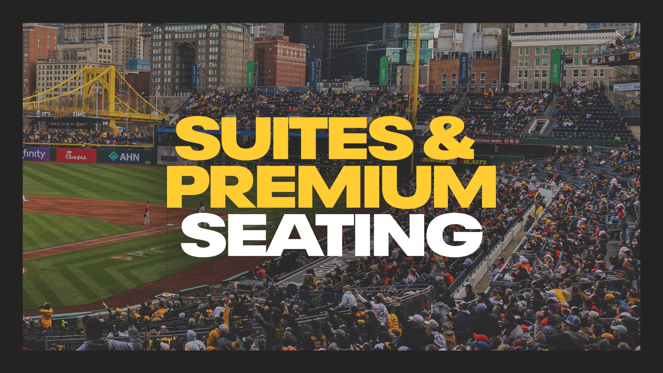 Suites & Premium Seating