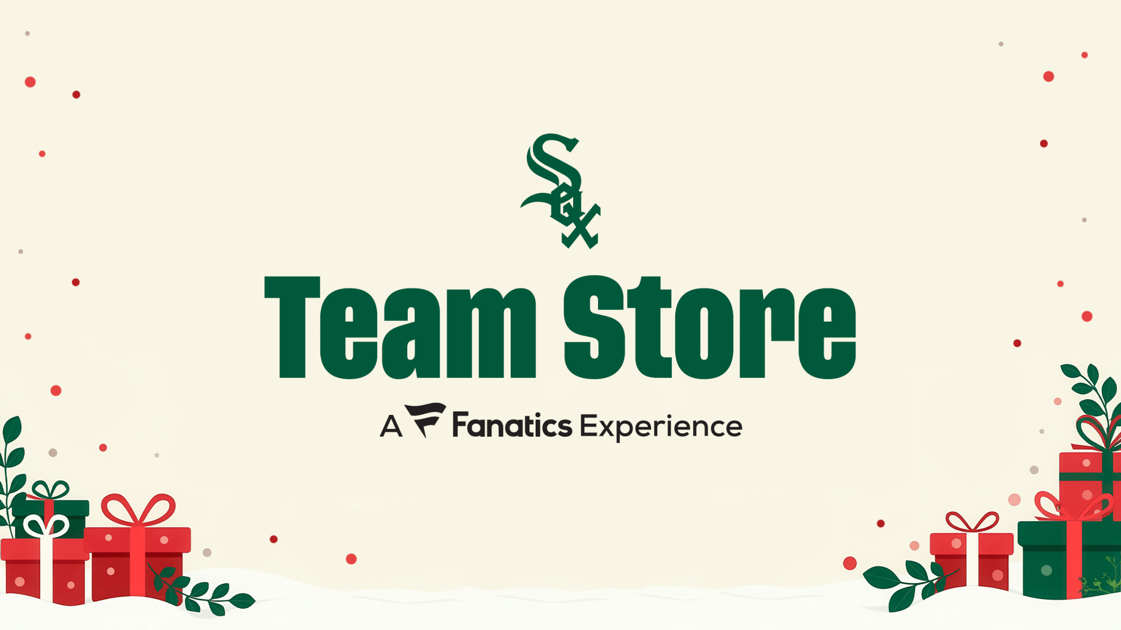 Team Store