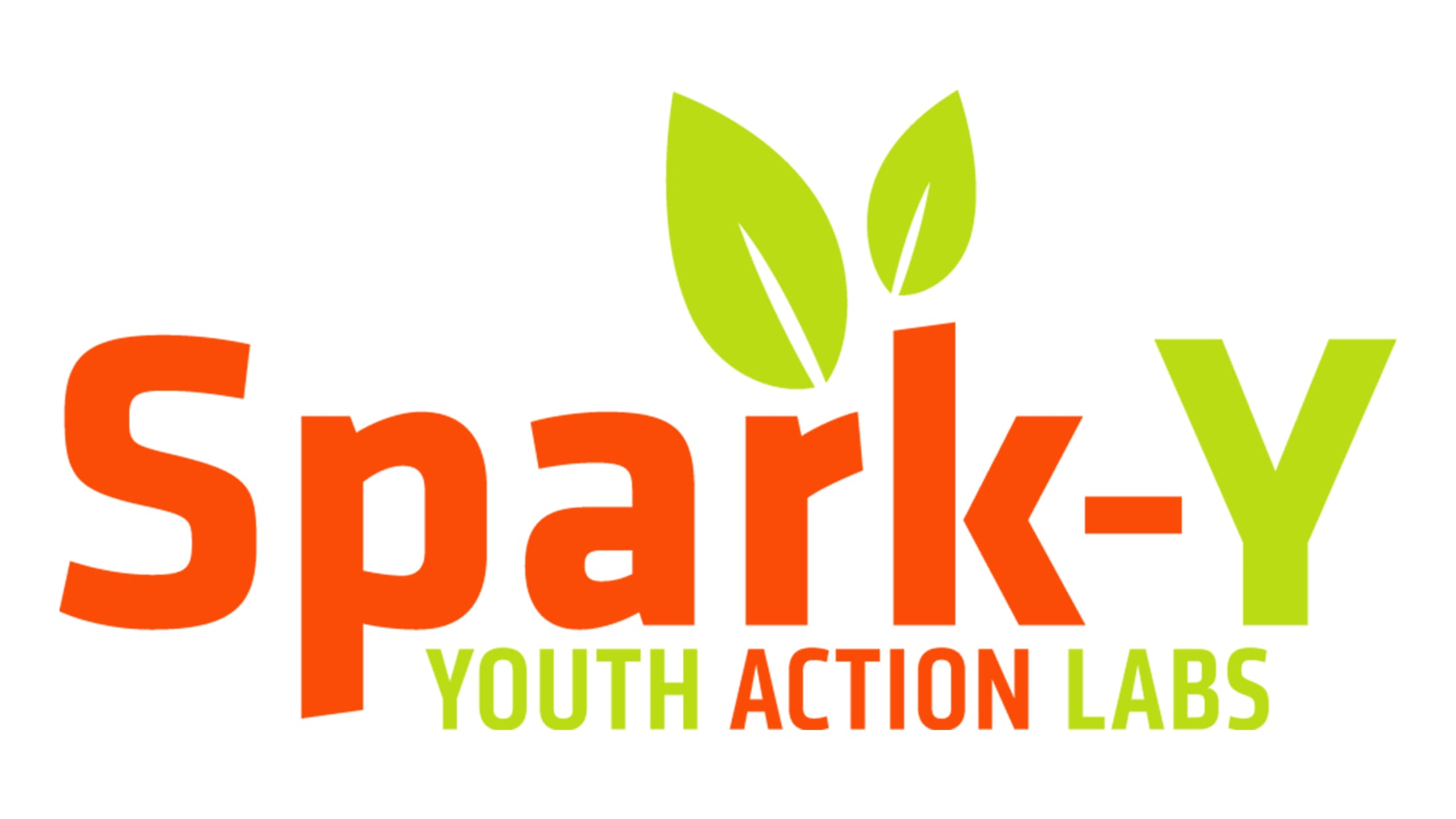 Spark-Y: Youth Action Labs