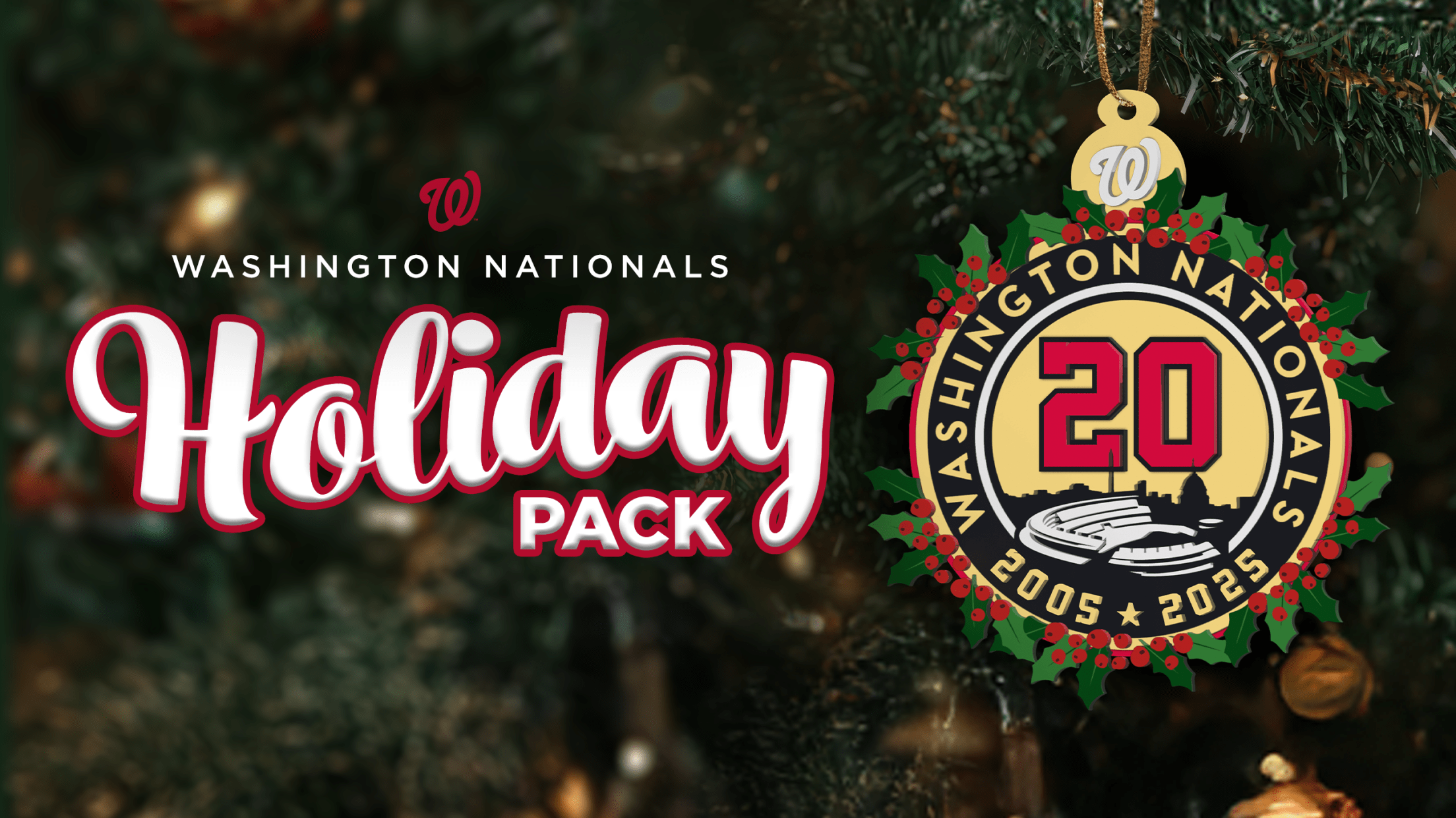 Washington Nationals Holiday Pack