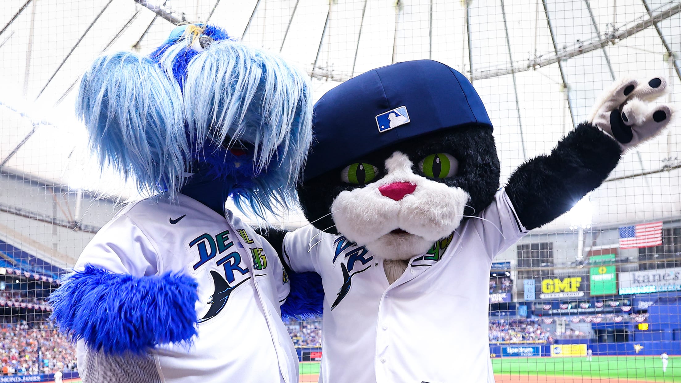 Rays Season Member Benefits