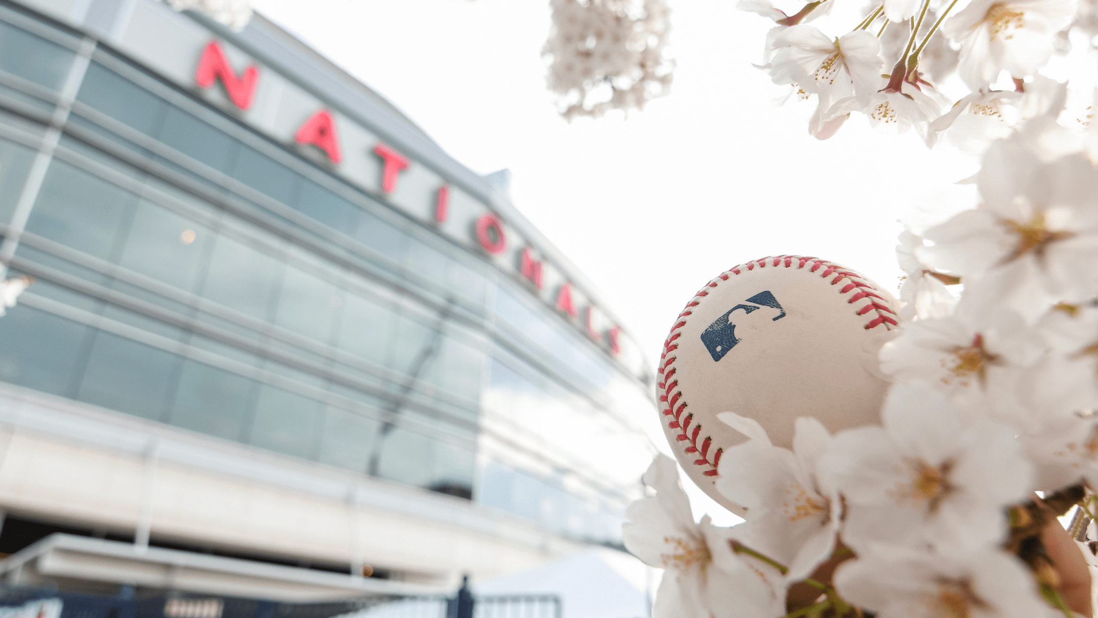 Blossoms and Baseball