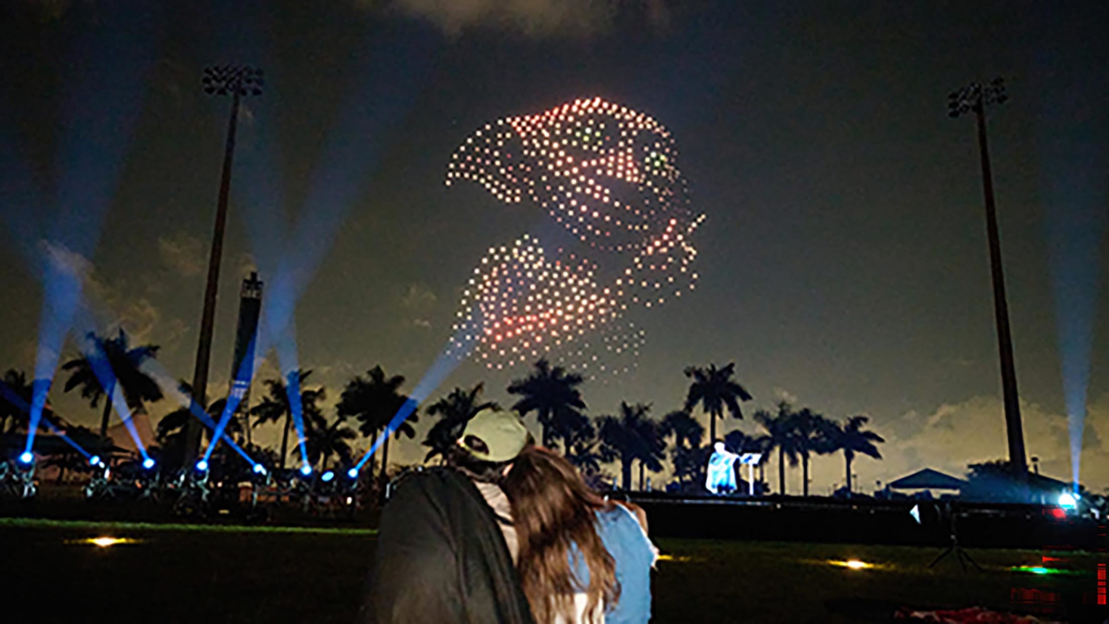 DroneArt Show: Harry Potter Premier