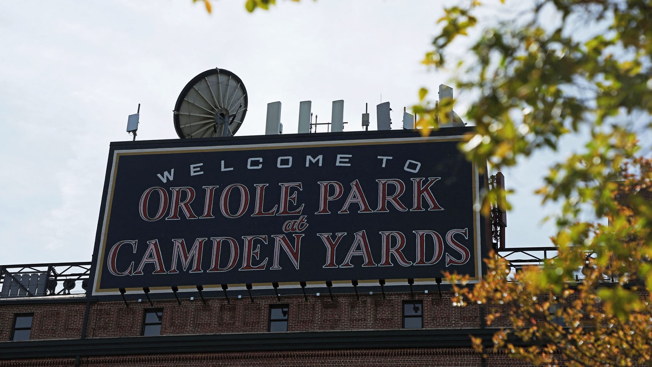 Disability Access Guide