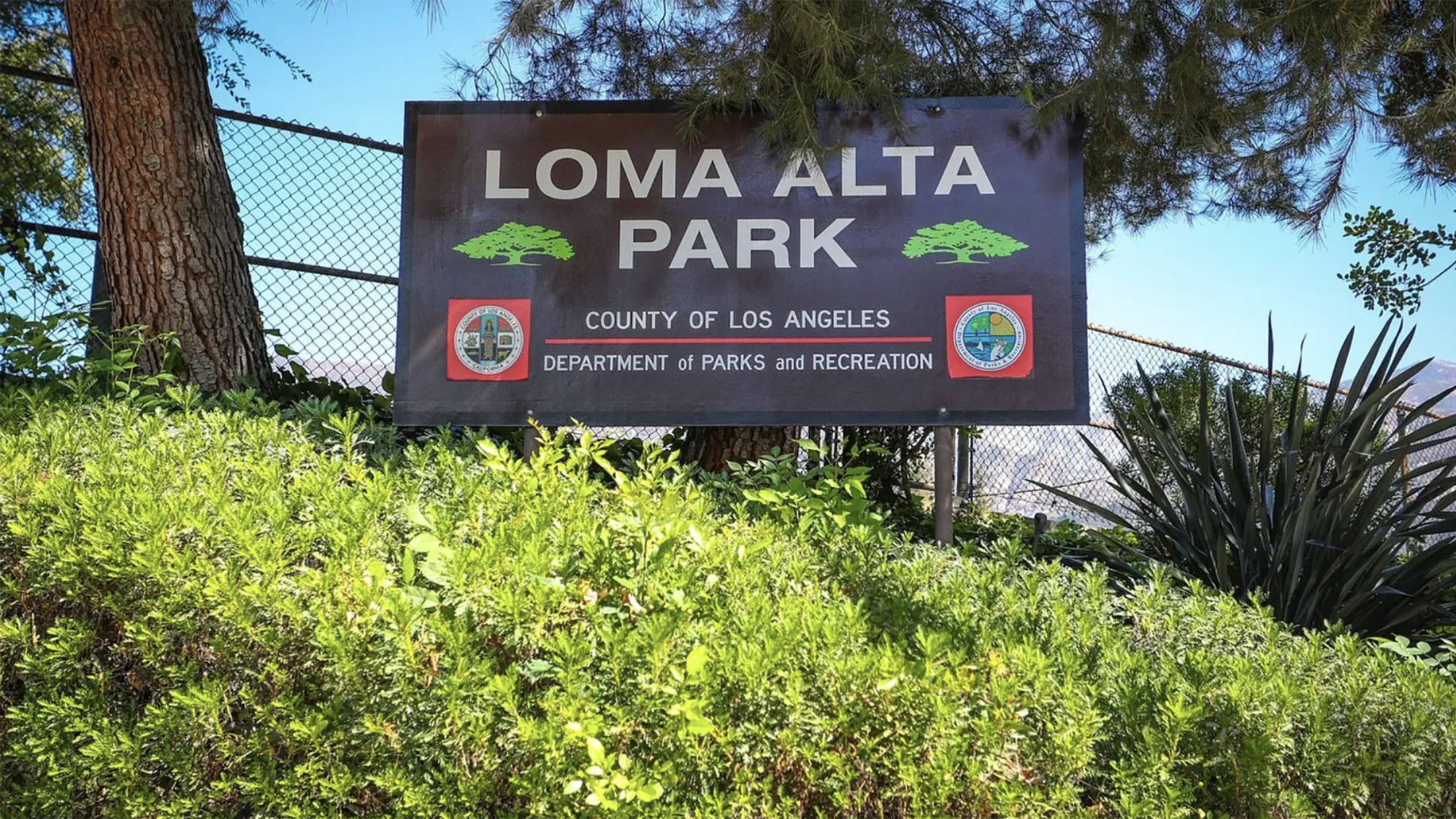 A Home Run for Altadena