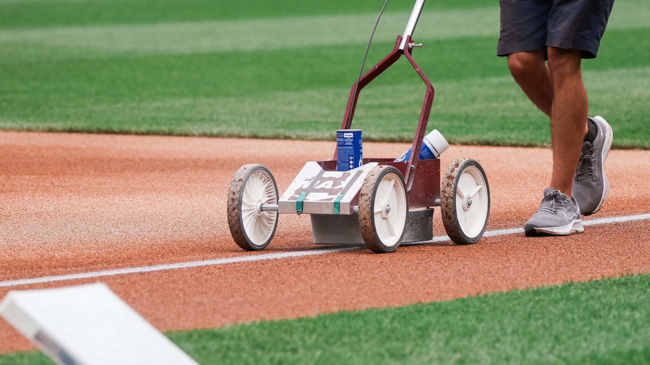 Lining the field image