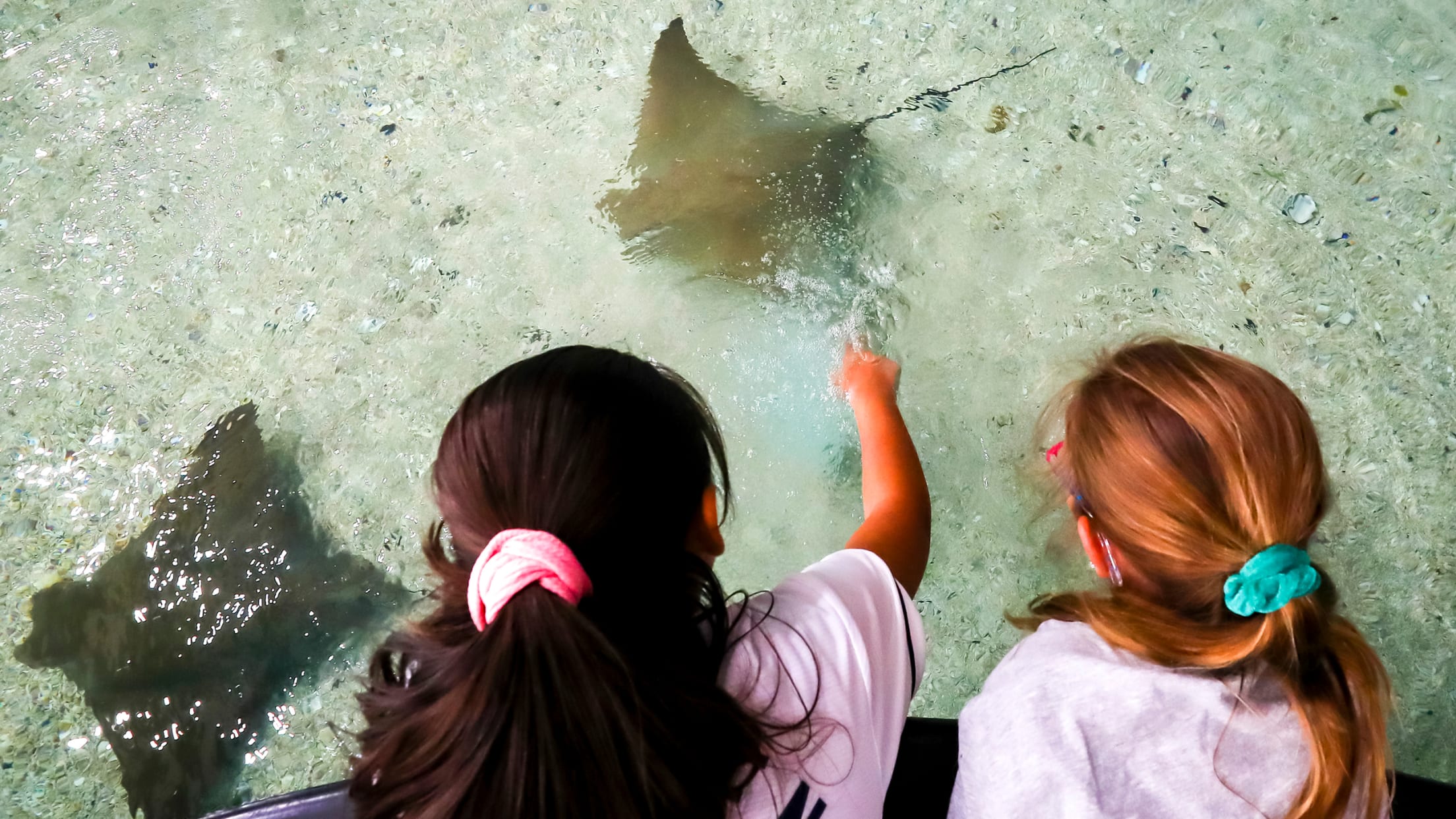 Touch Tank