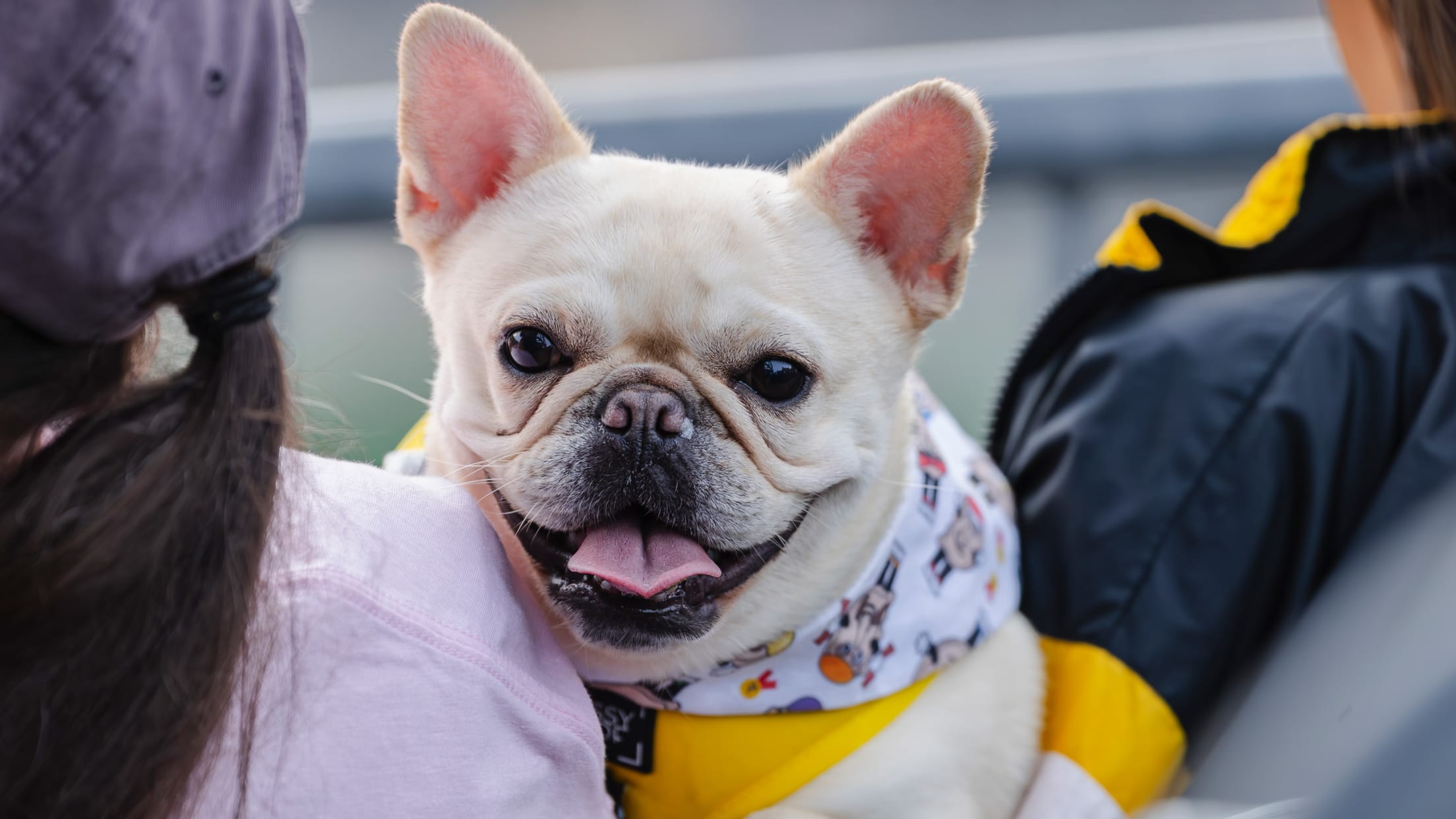 Pup Night at PNC Park