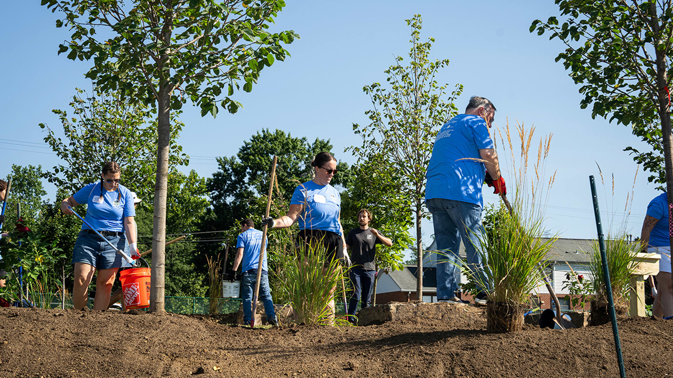A team of volunteers plant shrubs and trees for the new Tree School outside of Winton Hills Academy.