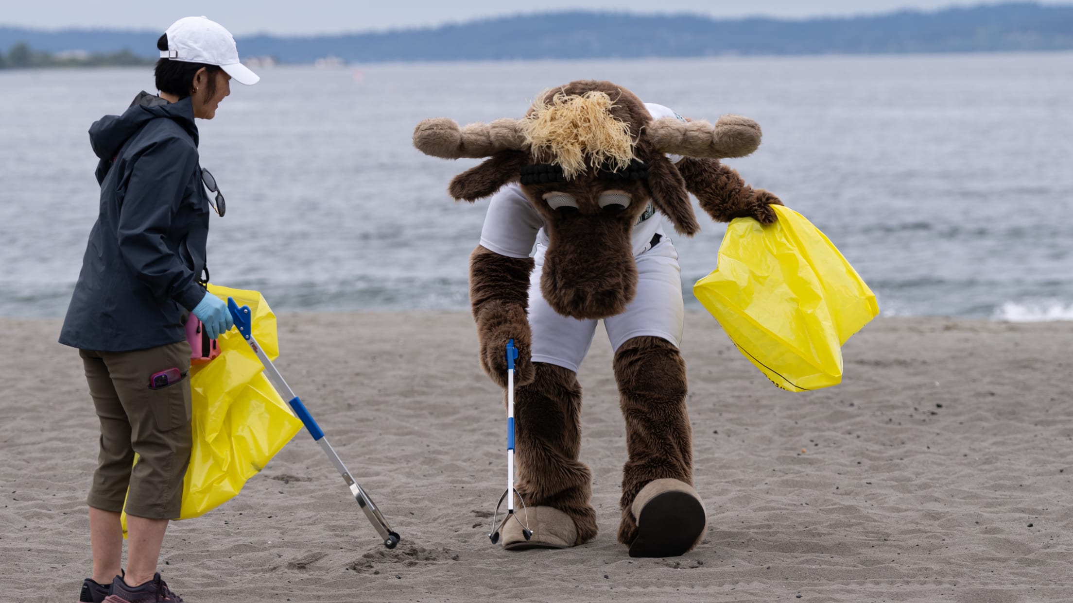 The Mariner Moose picks up garbage during a beach cleanup in Seattle.