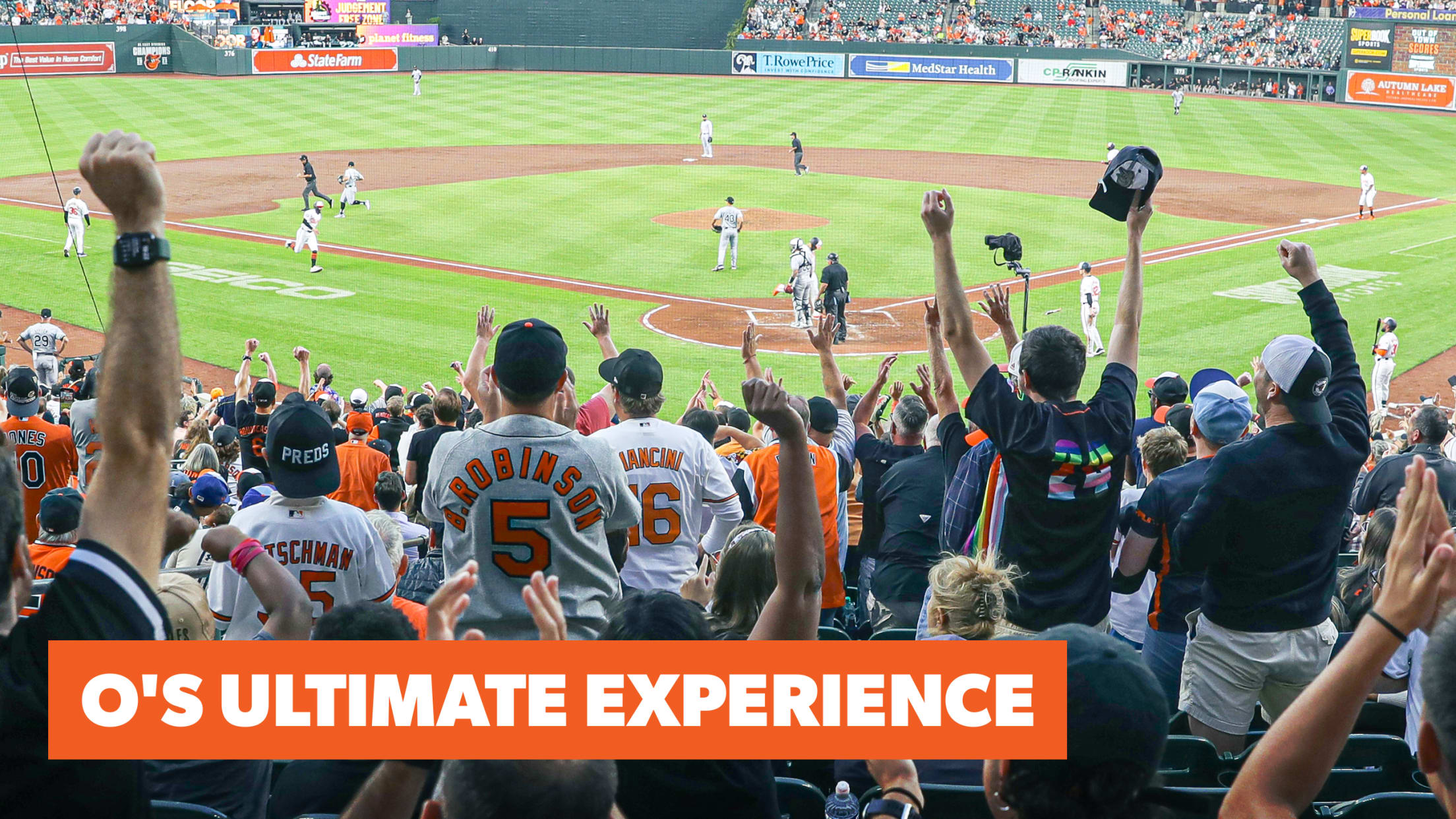 Ultimate Experience