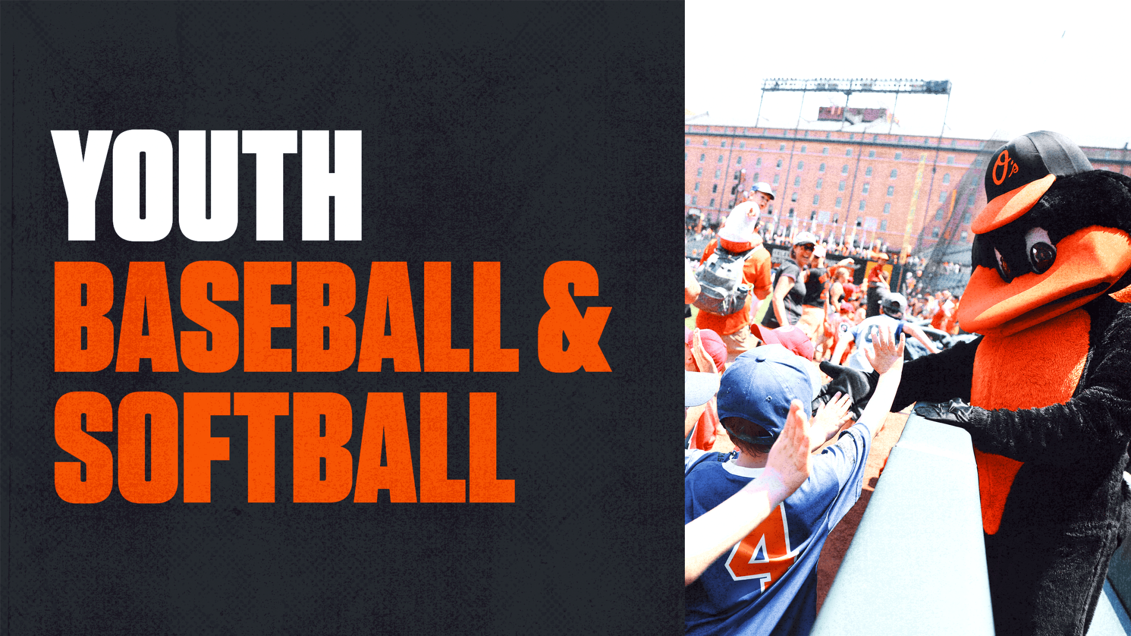 Youth Baseball & Softball