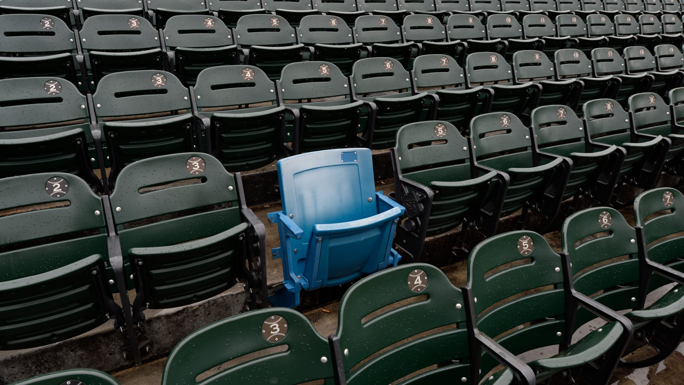 Hidden Gems: Blue Seats