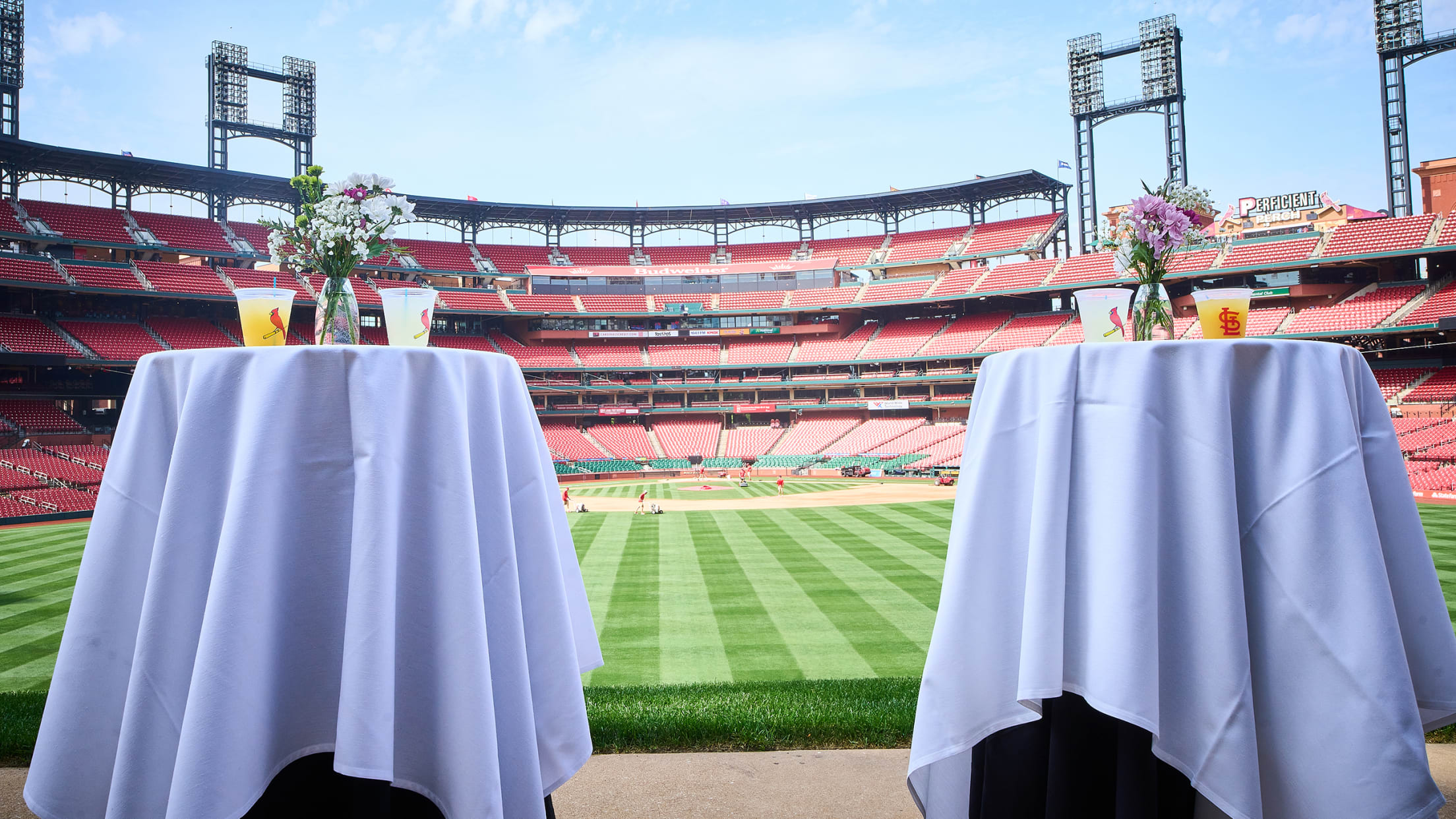 Batters Eye Reception