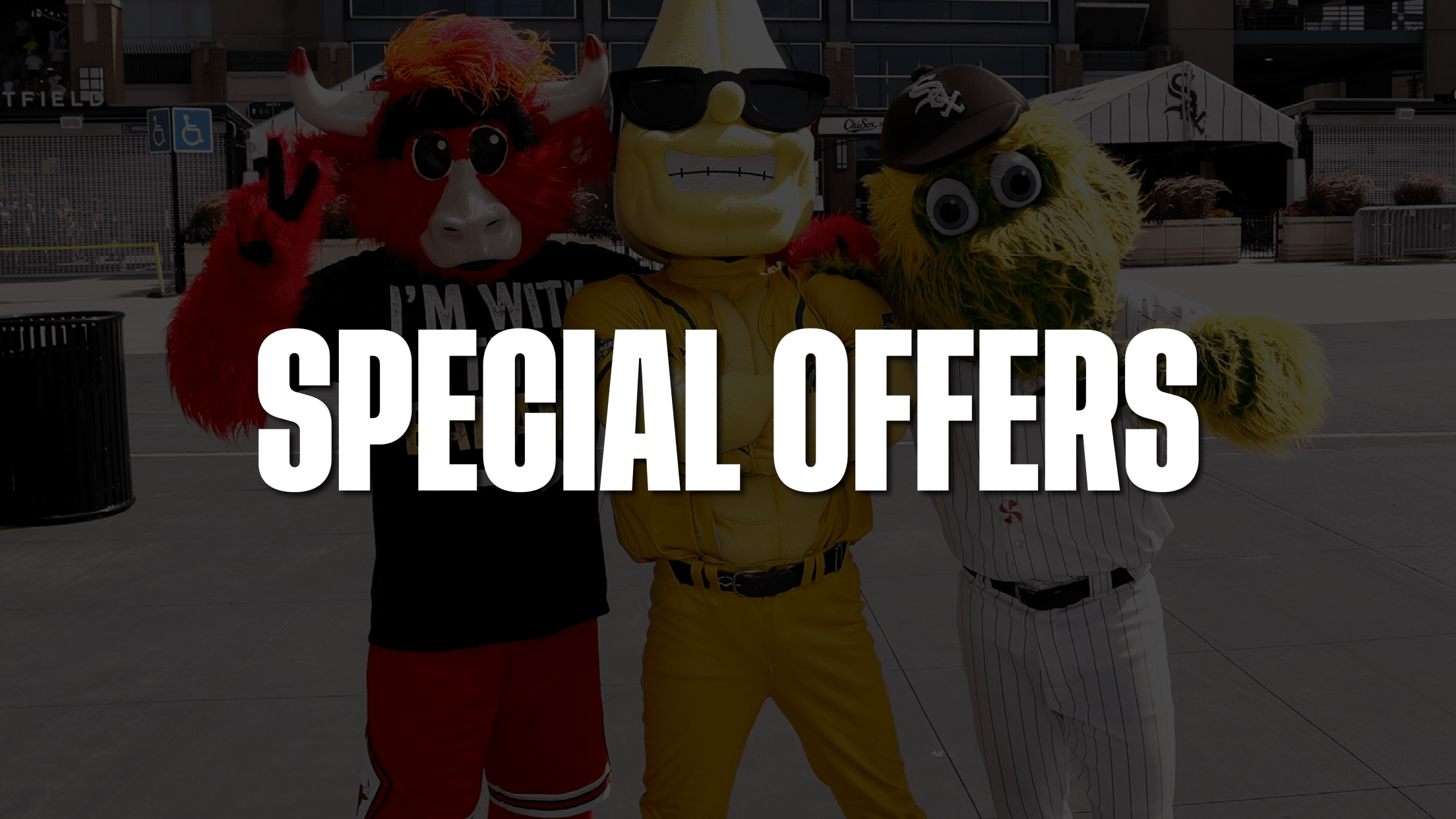 Special Offers