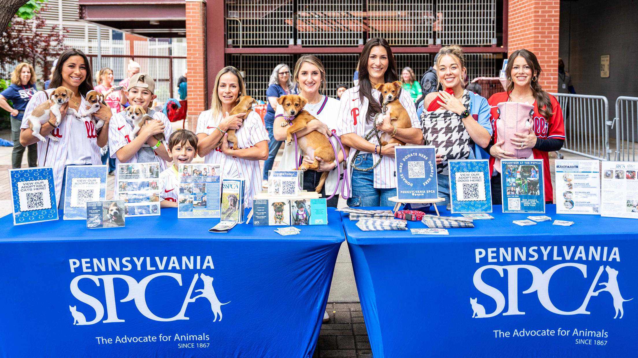 Phllies Wives Save a Pet at the Park