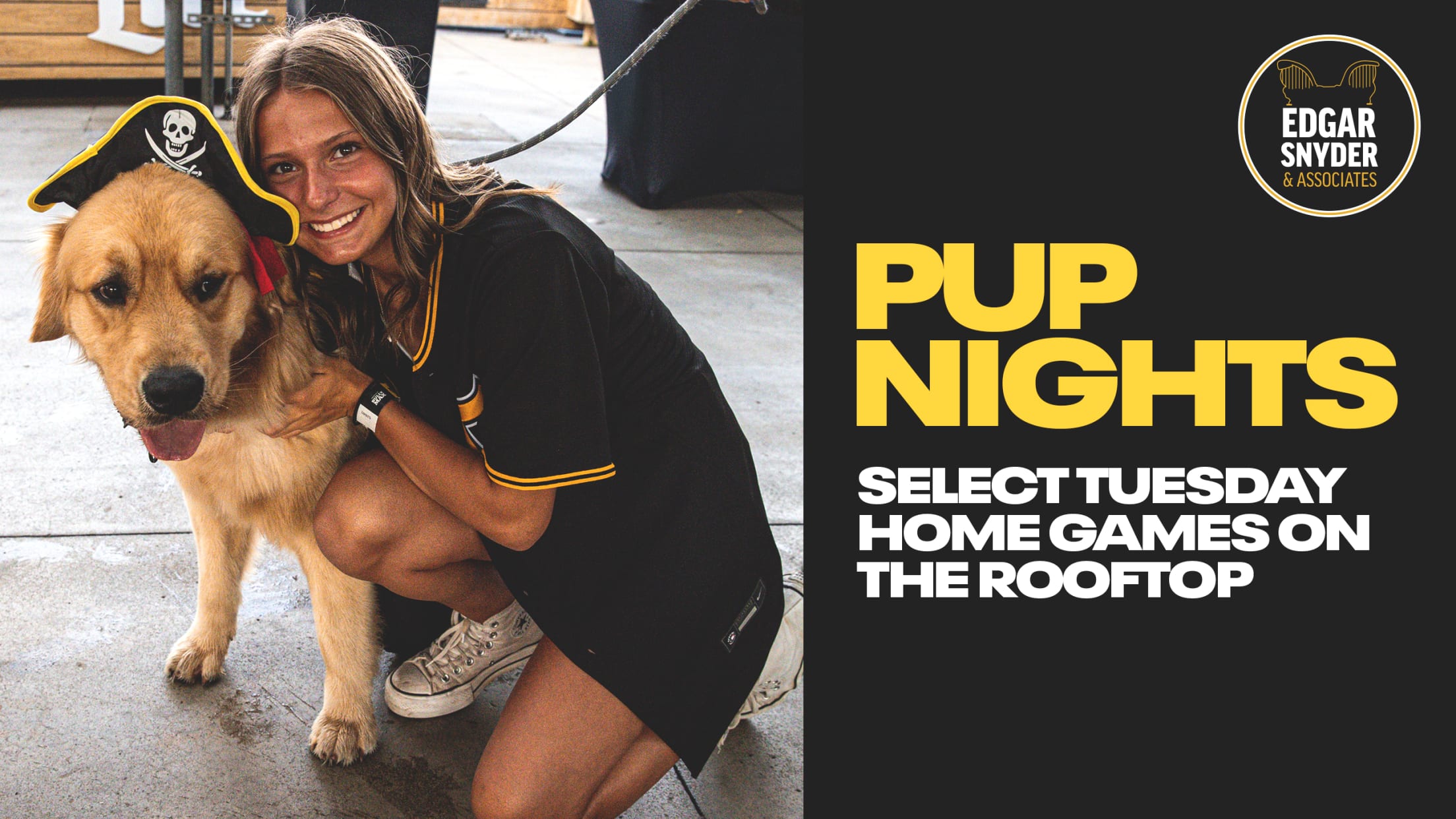 Pup Nights at PNC Park during select Tuesday home games