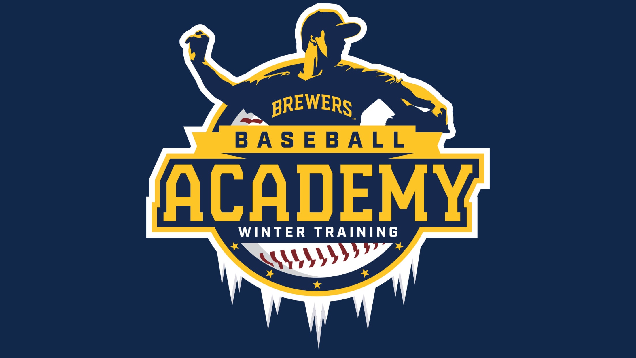 Brewers Baseball Academy Winter Training