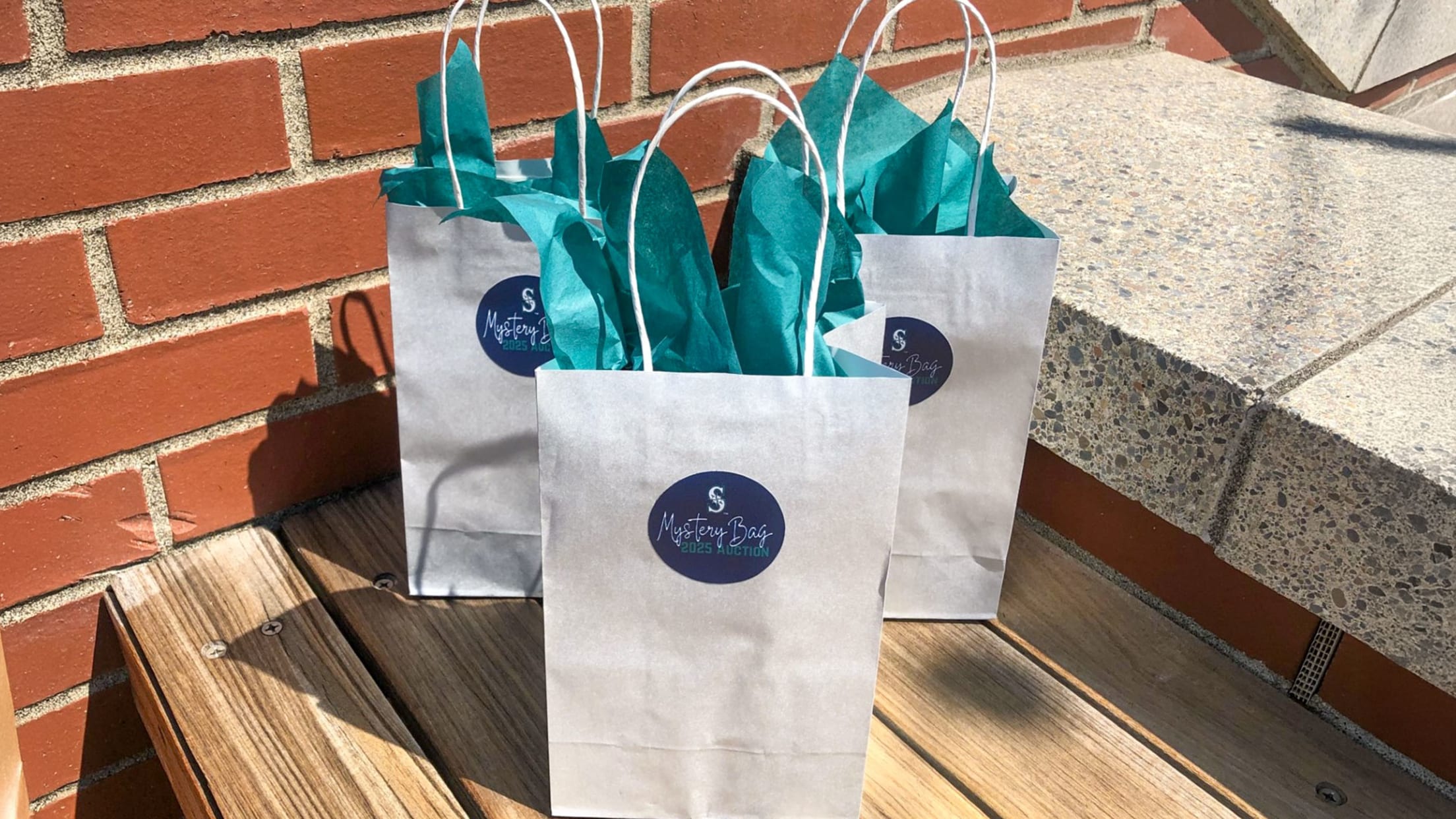 Image of mystery bags.