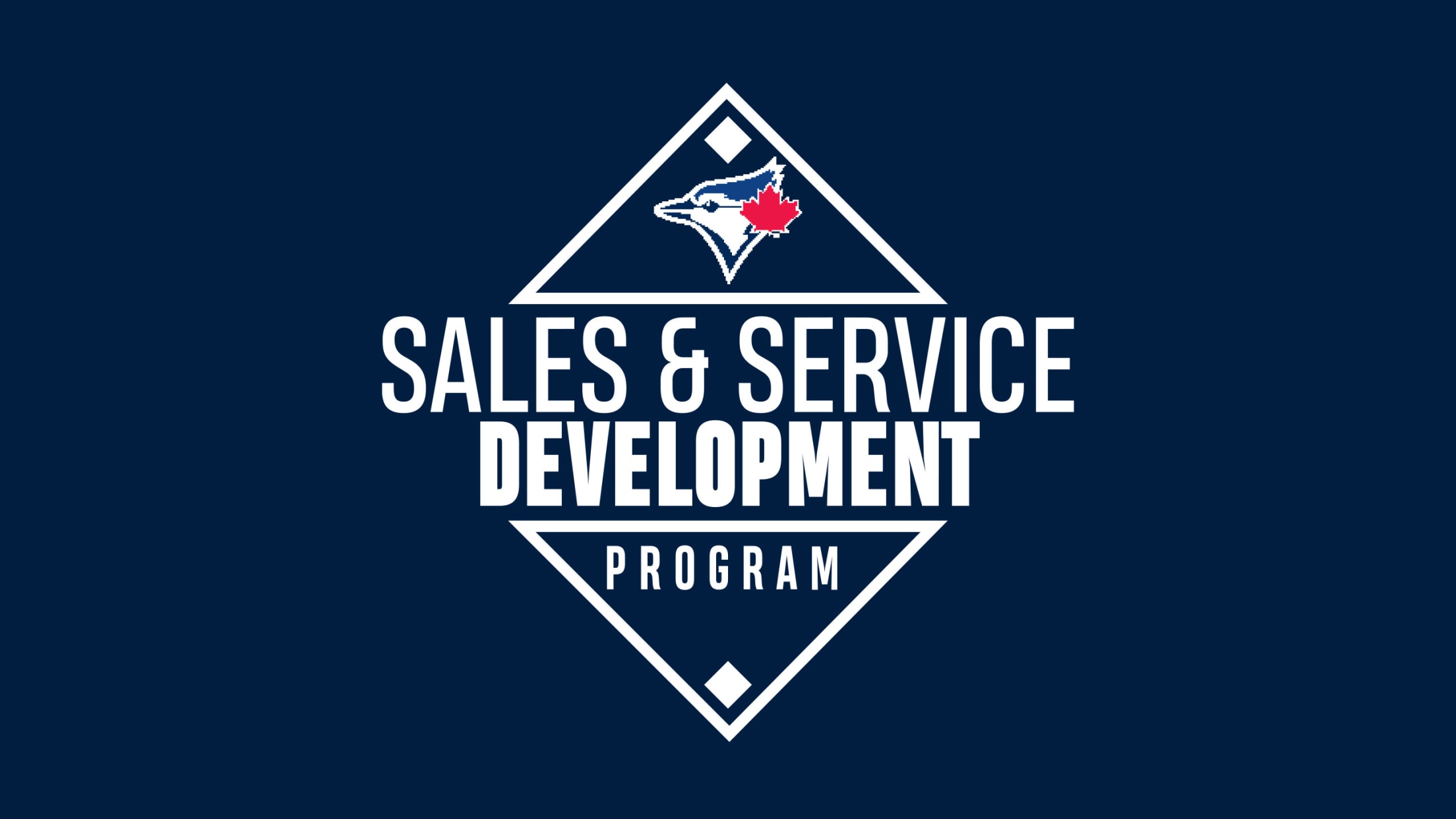 Sales & Service Development program