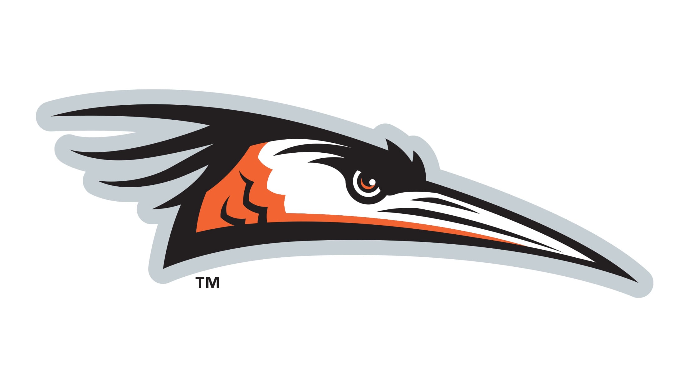 Delmarva Shorebirds