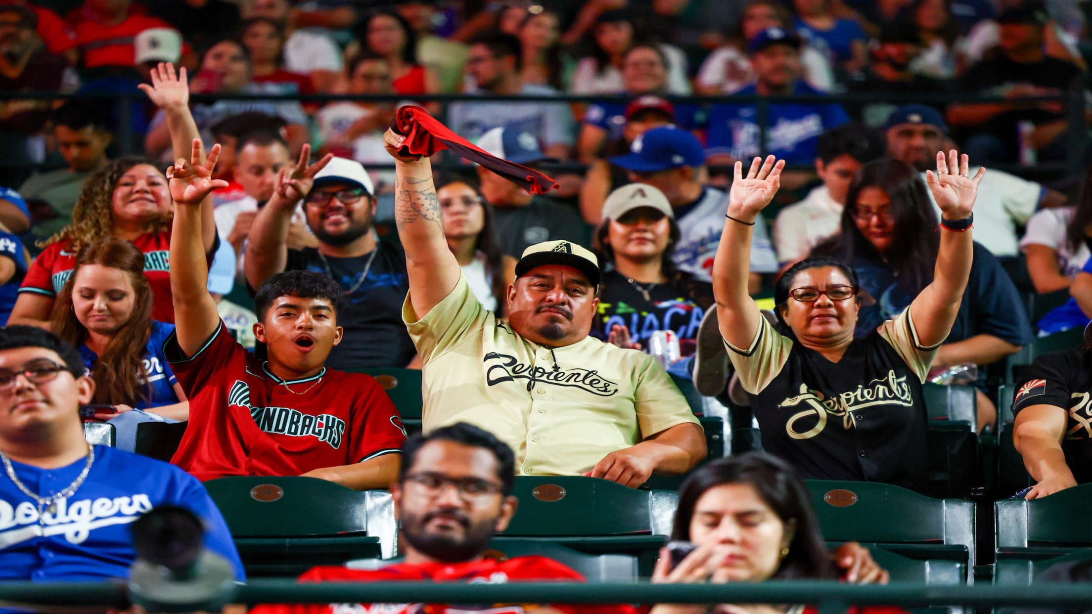 Fans at Chase Field