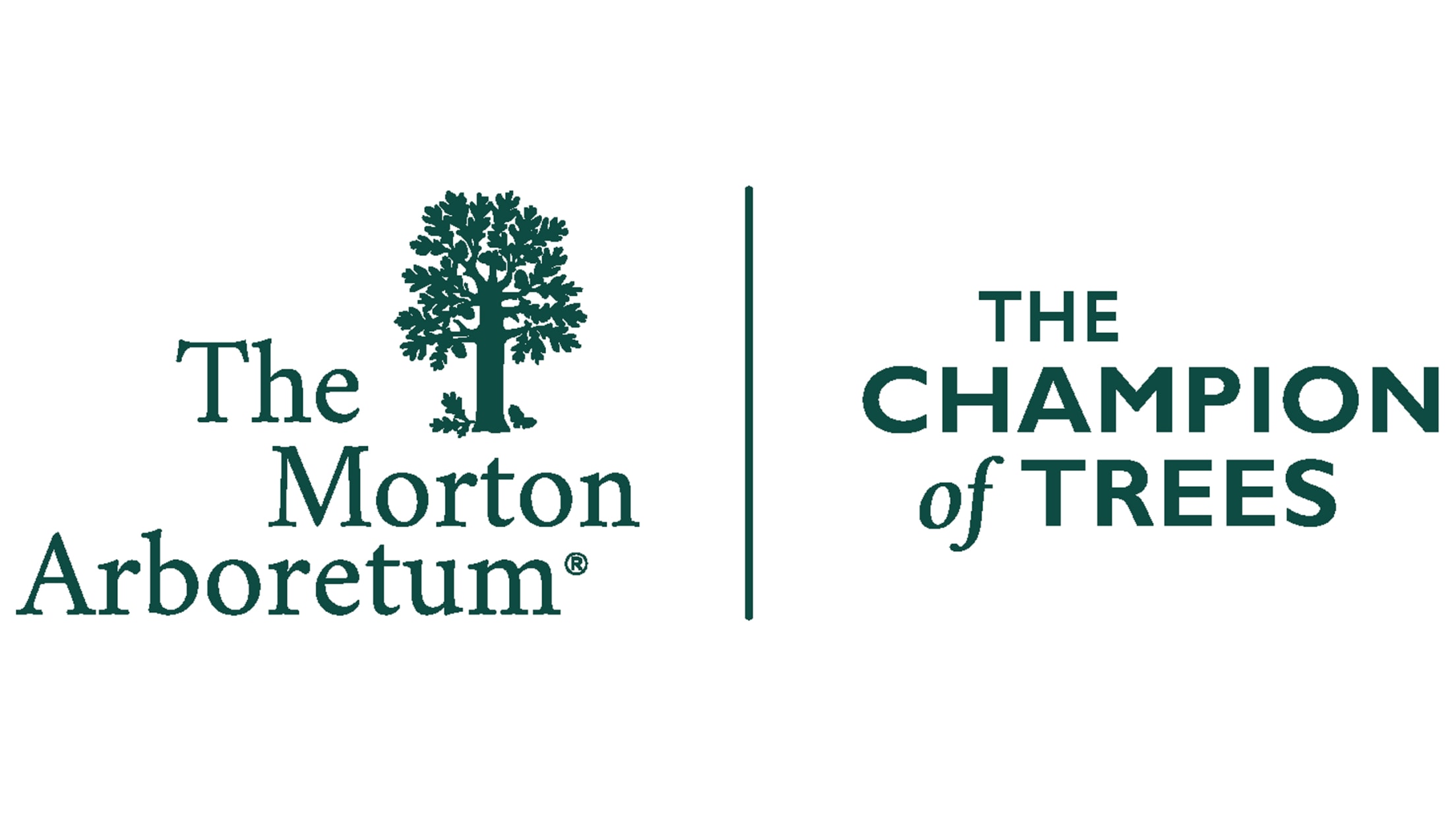 The Morton Arboretum