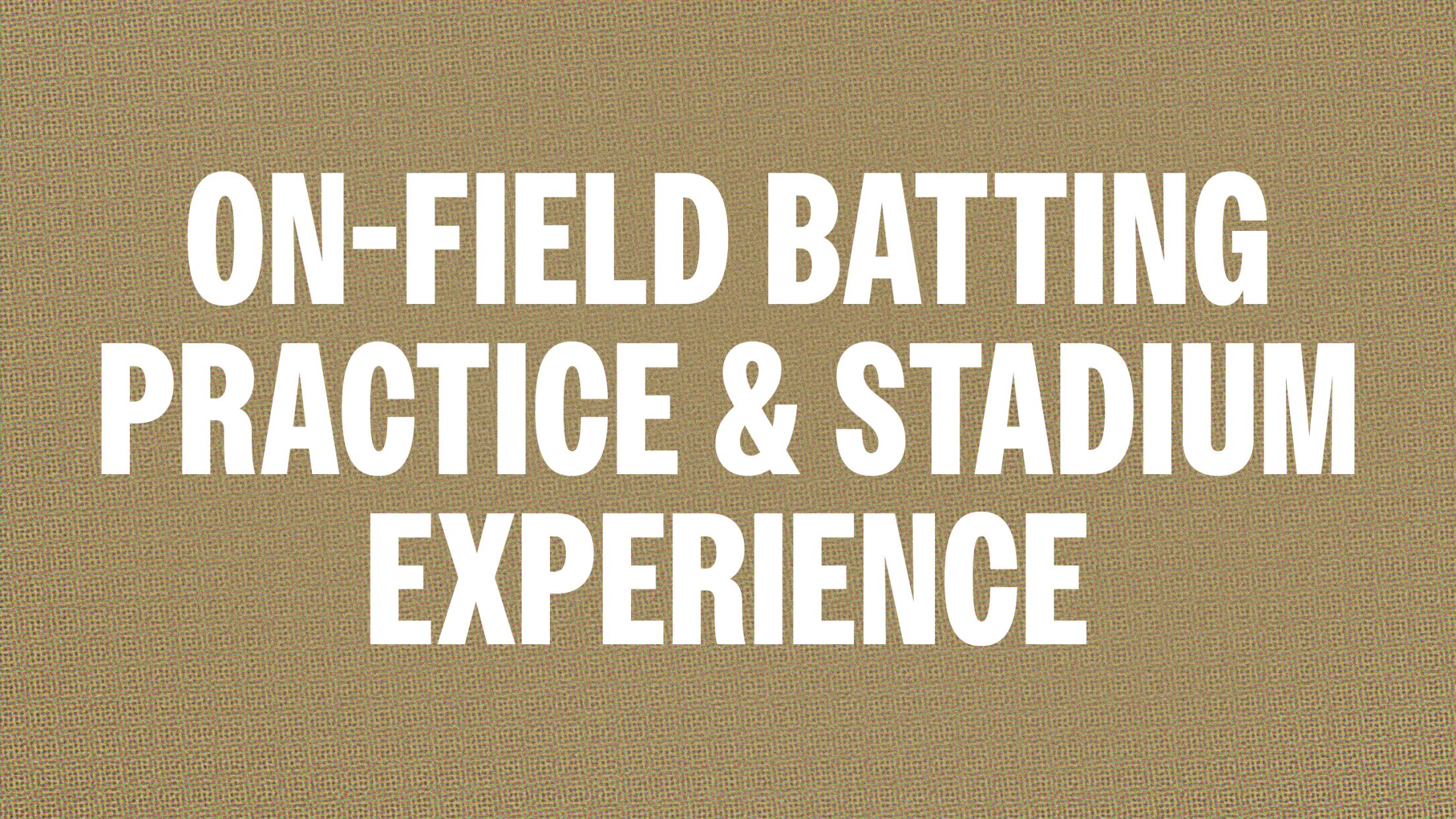 On-Field Batting Practice & Stadium Experience