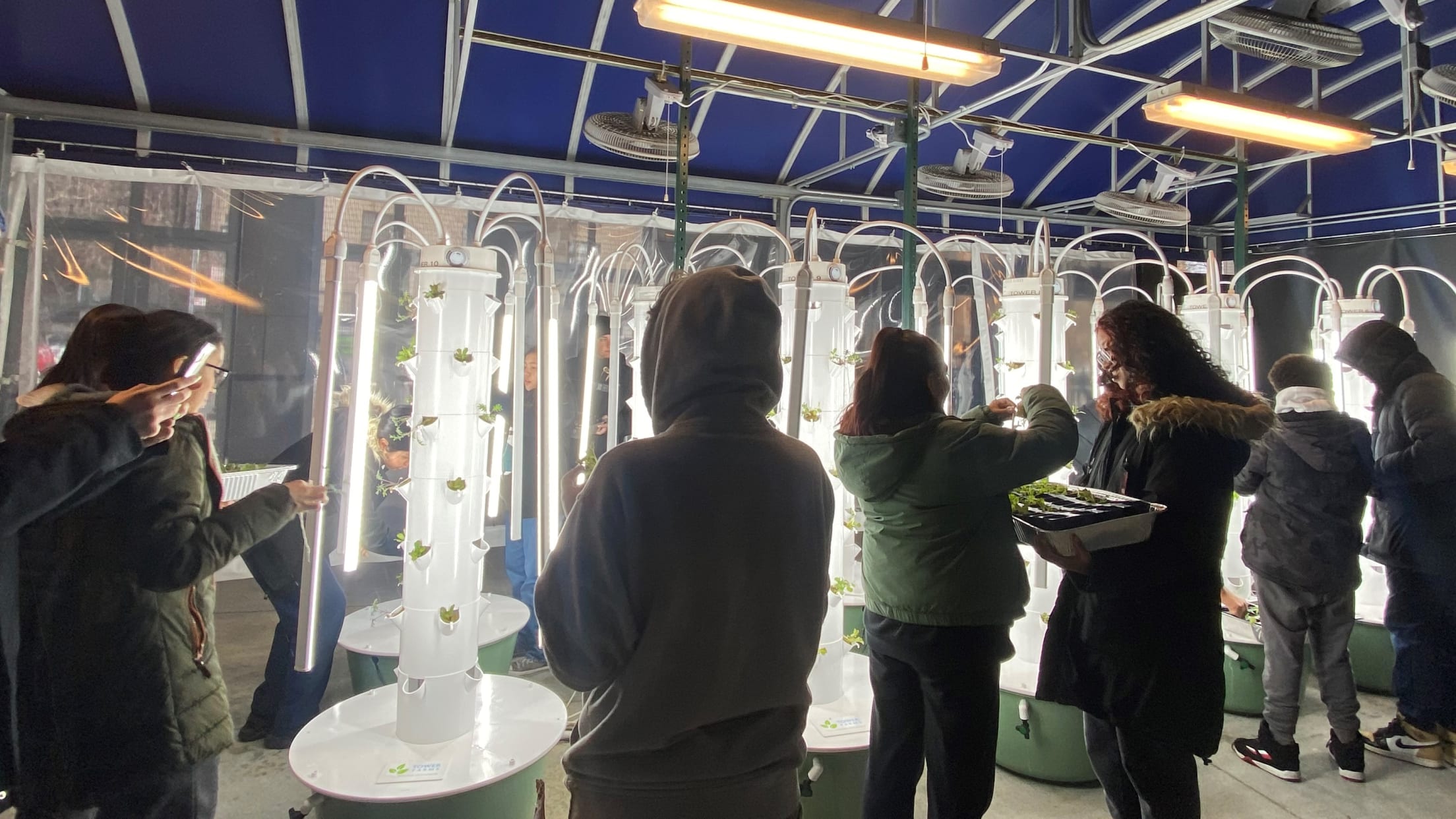 Yankee Stadium Tower Garden