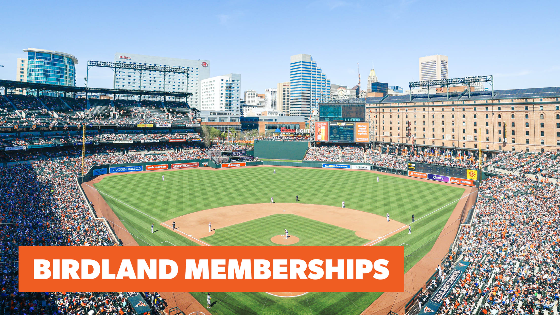 Birdland Memberships