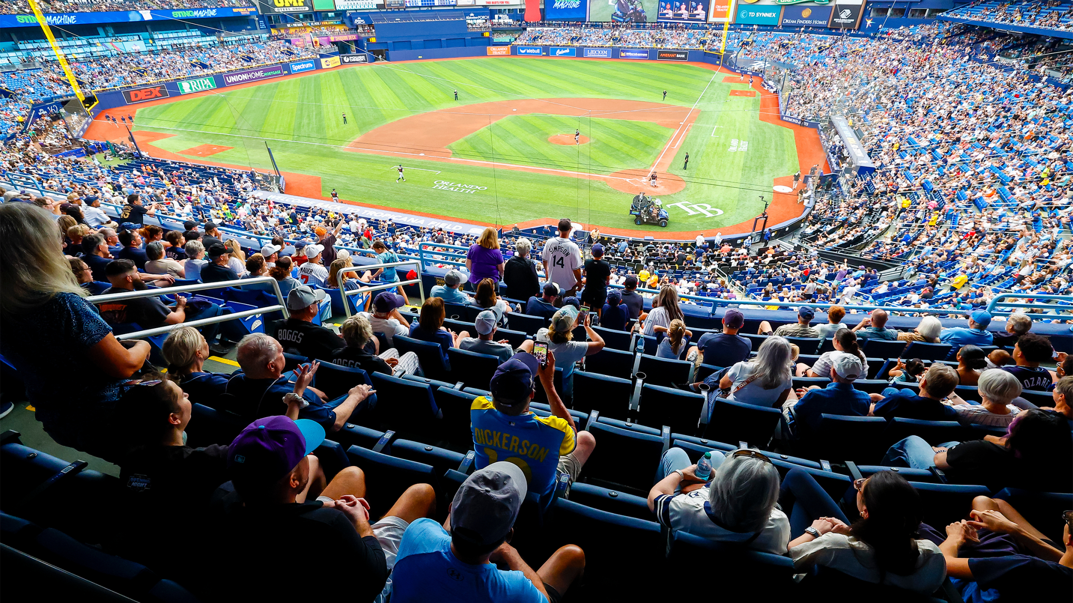 Webull Suite Level Premier