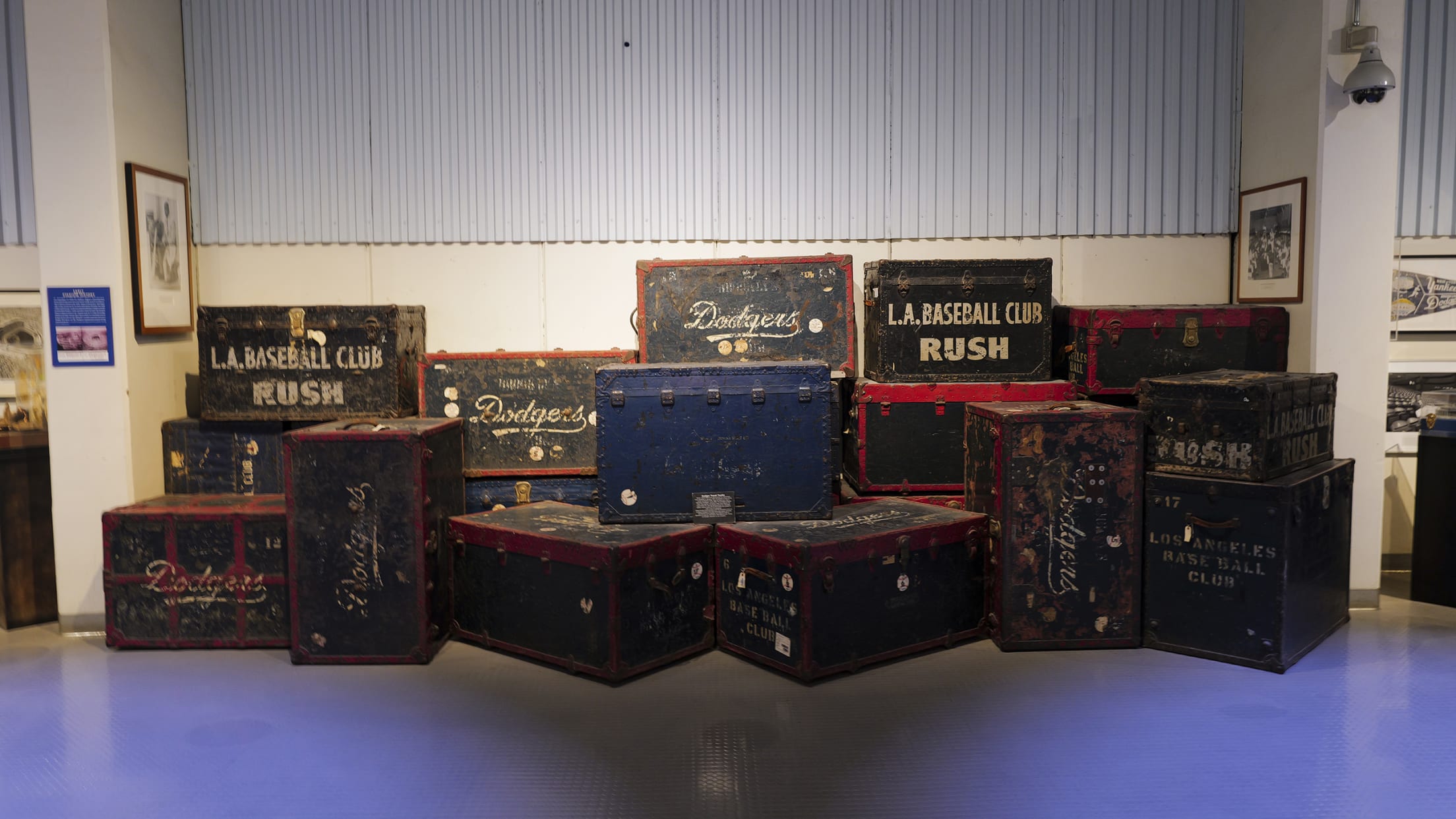 Dodger Baseball Club Trunks