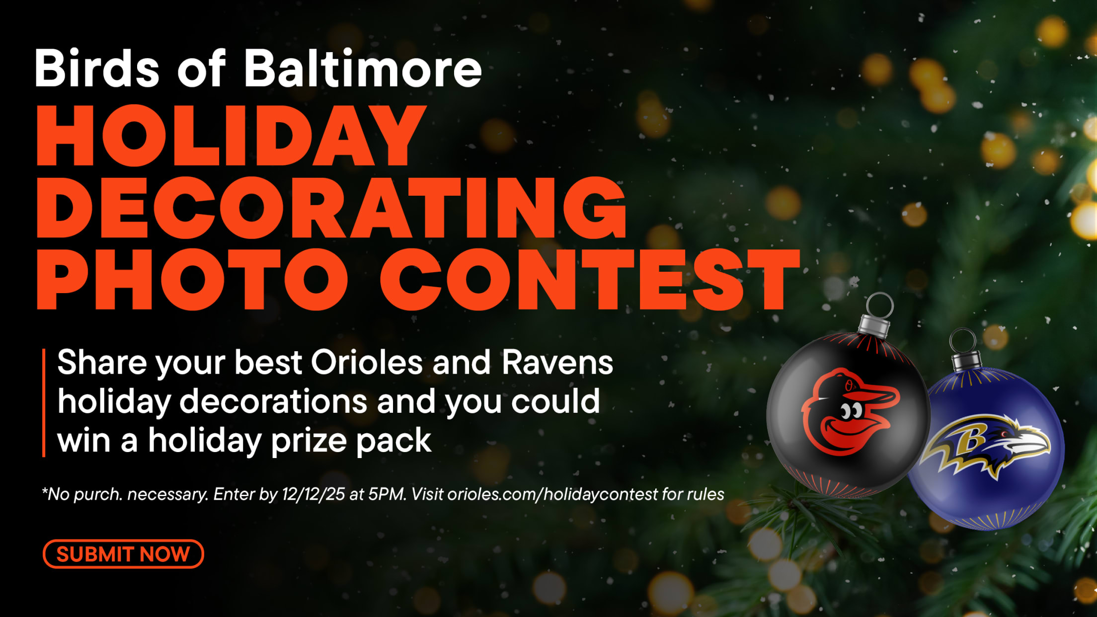 Birds of Baltimore Holiday Decorations Contest