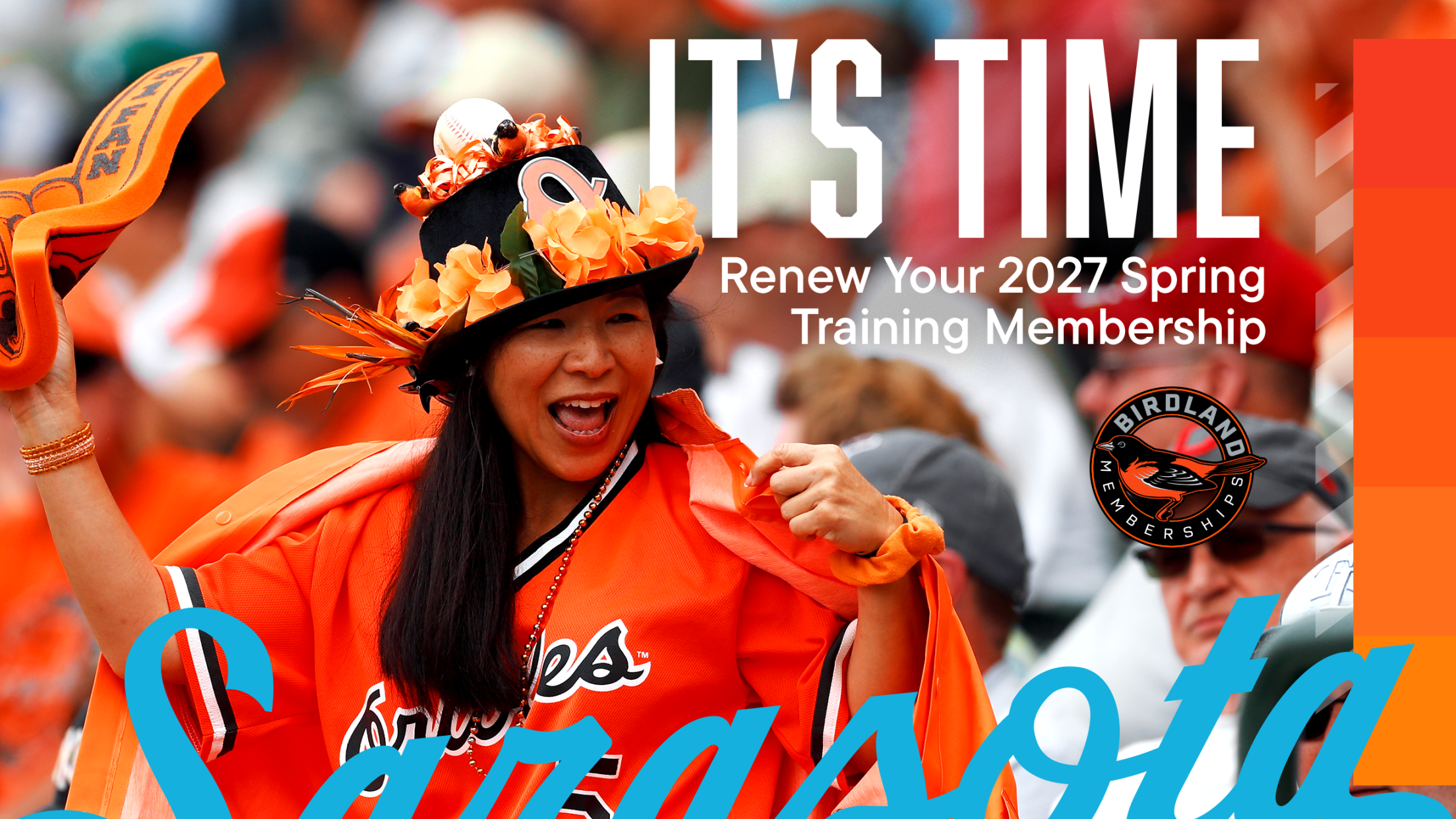 Renew Now
