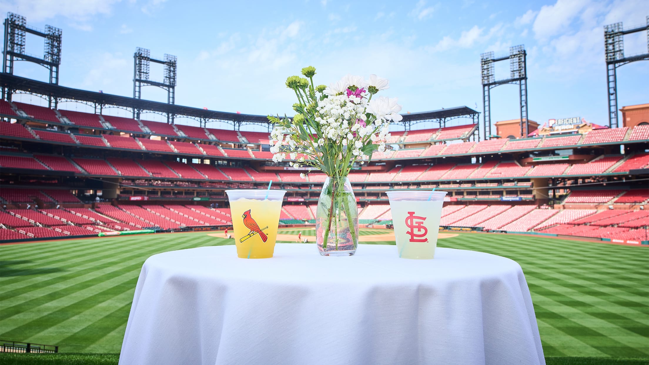 Batters Eye Reception