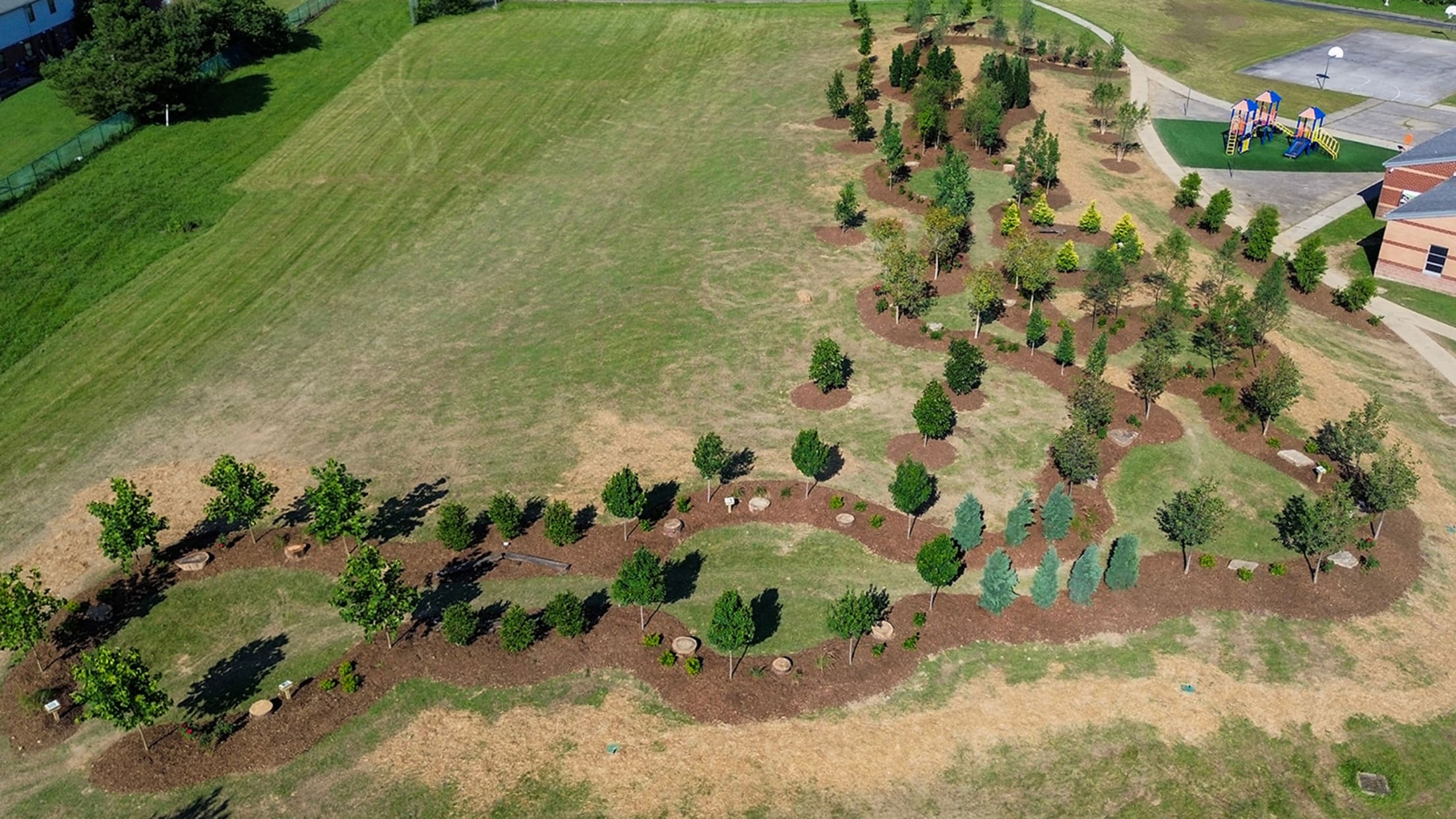 Drone view of planted trees and a clean field.