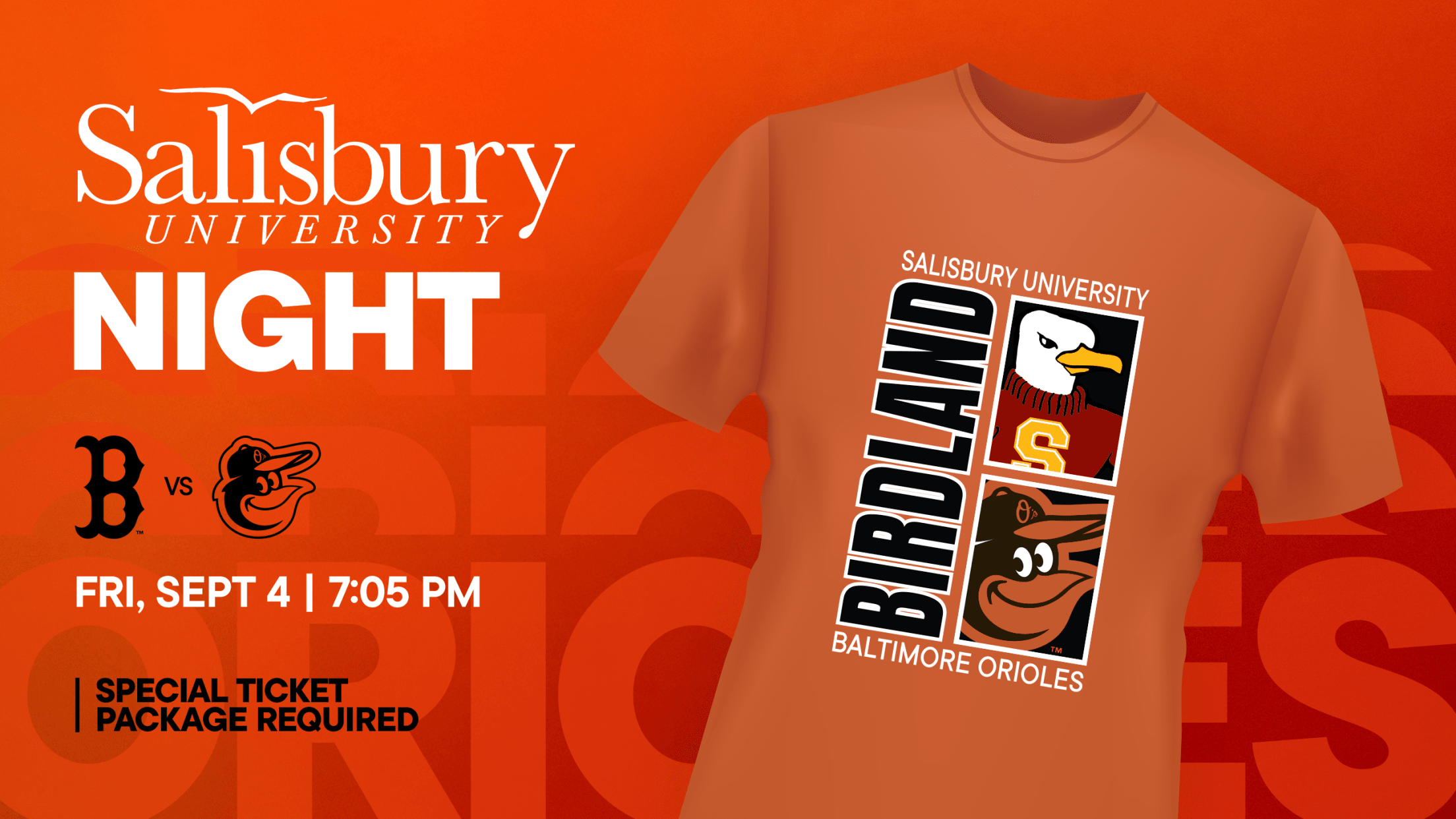 Salisbury University Night
