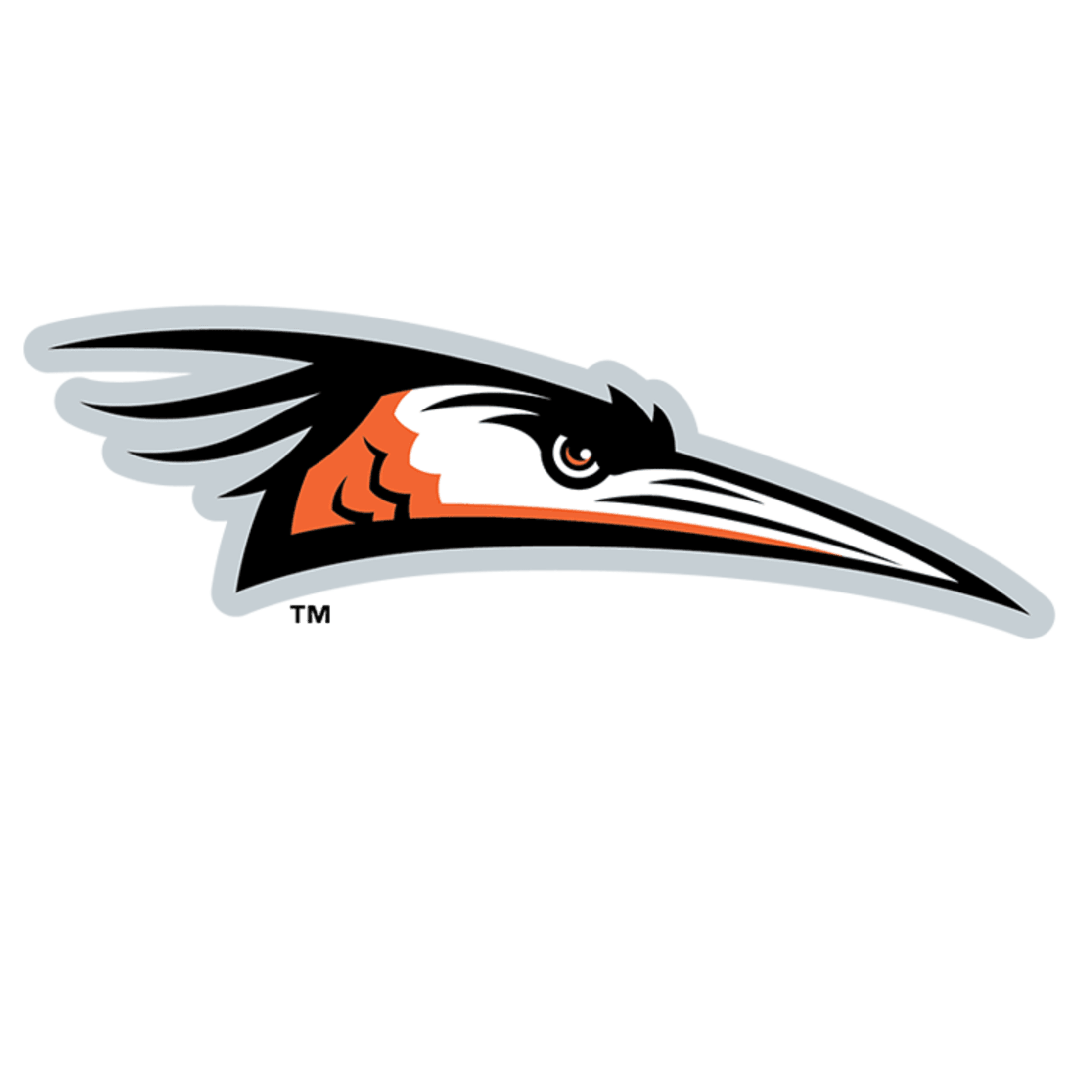 Single-A: Delmarva Shorebirds