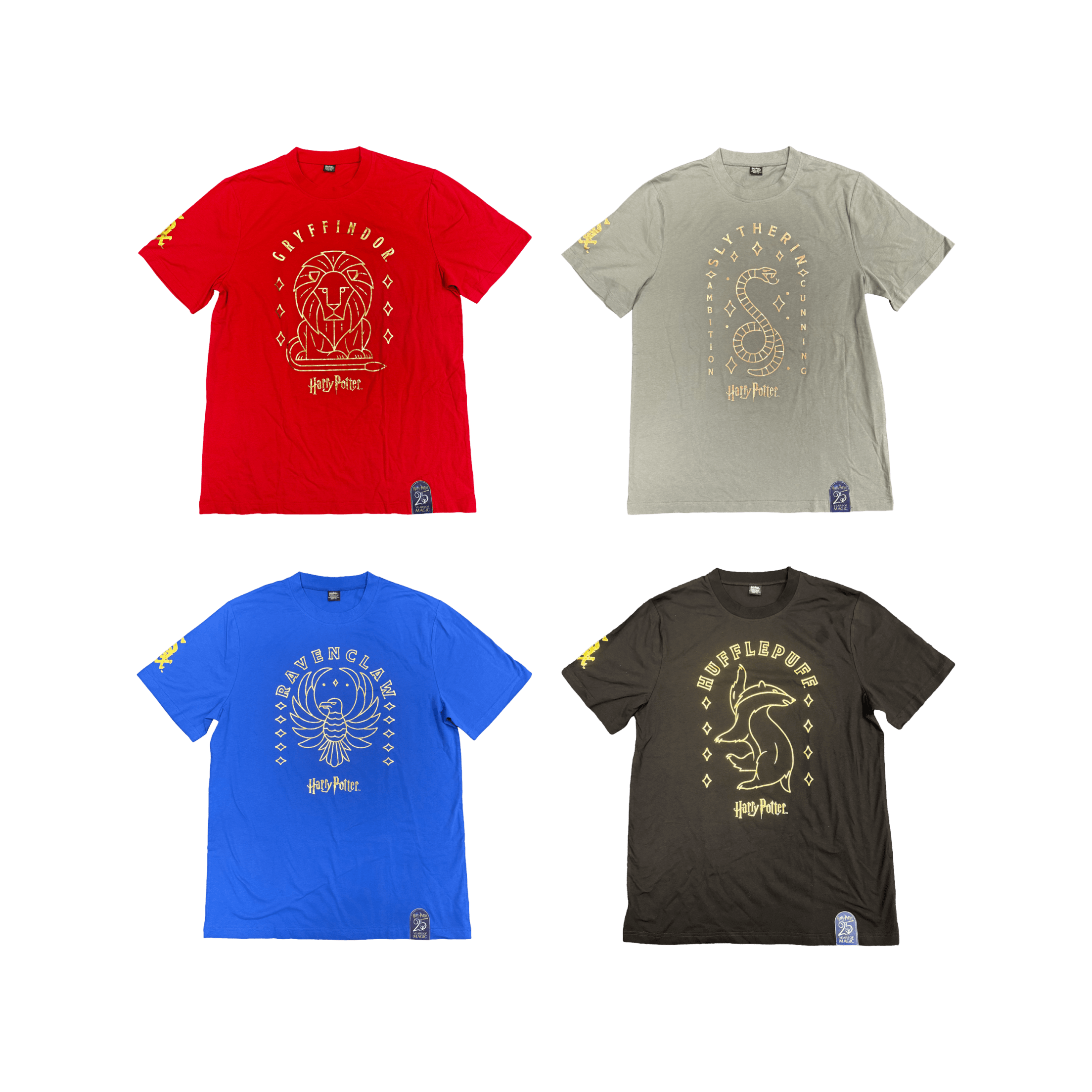 2026 Harry Potter Night