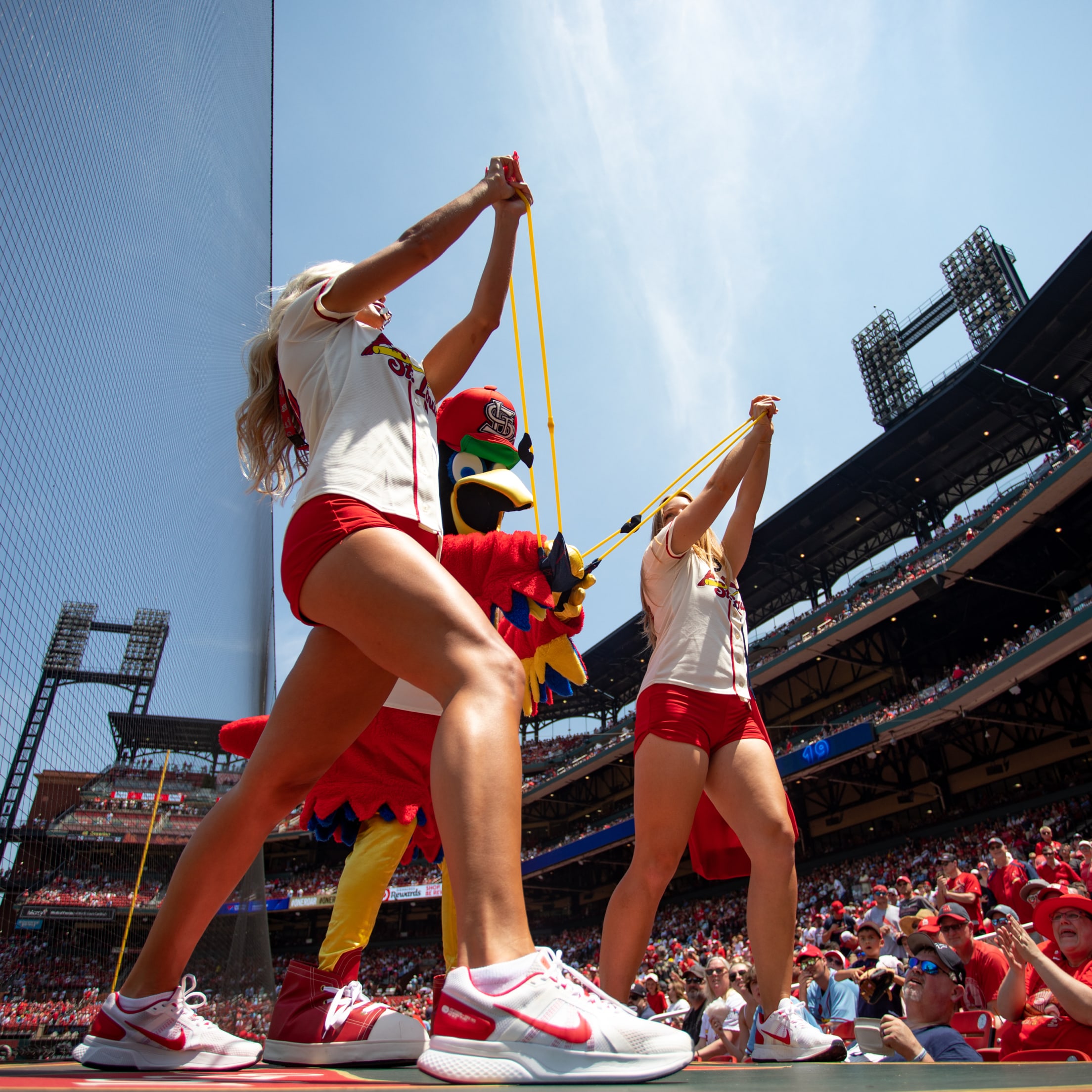 Team Fredbird