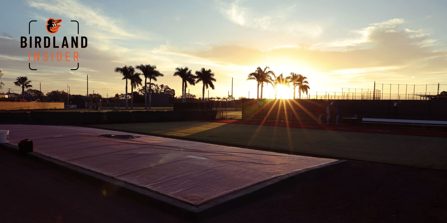 Birdland Insider 2023 Spring Training Week 1 In Focus Baltimore Orioles