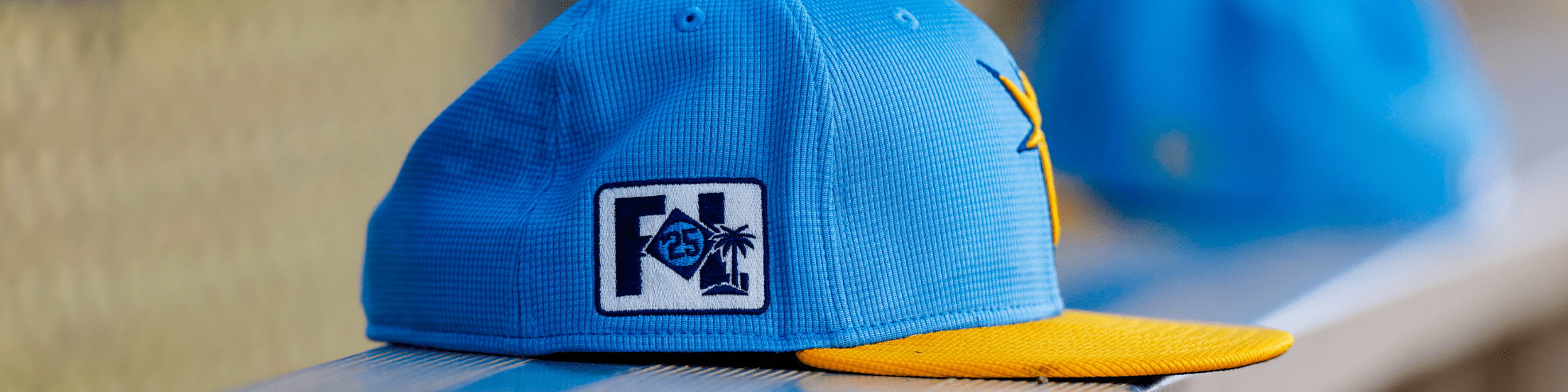 Rays Spring Training