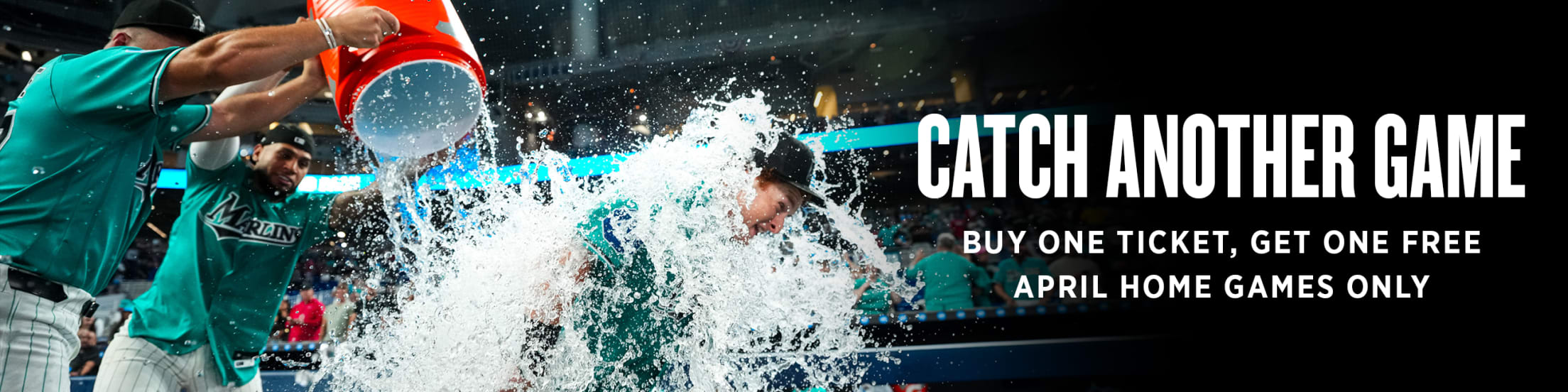 Catch Another Game - Buy One Ticket, Get One Free - April Home Games Only