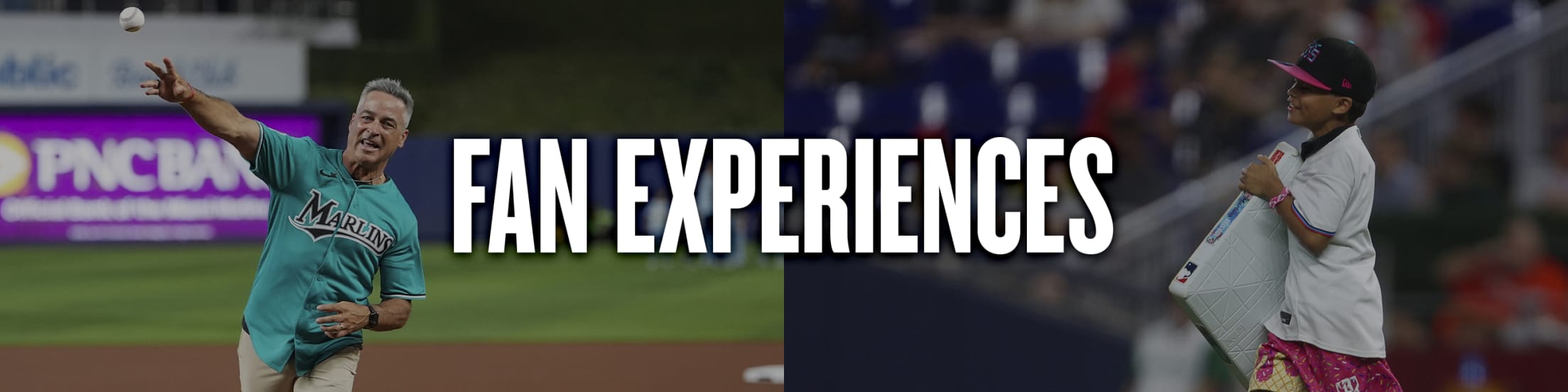 Fan Experiences