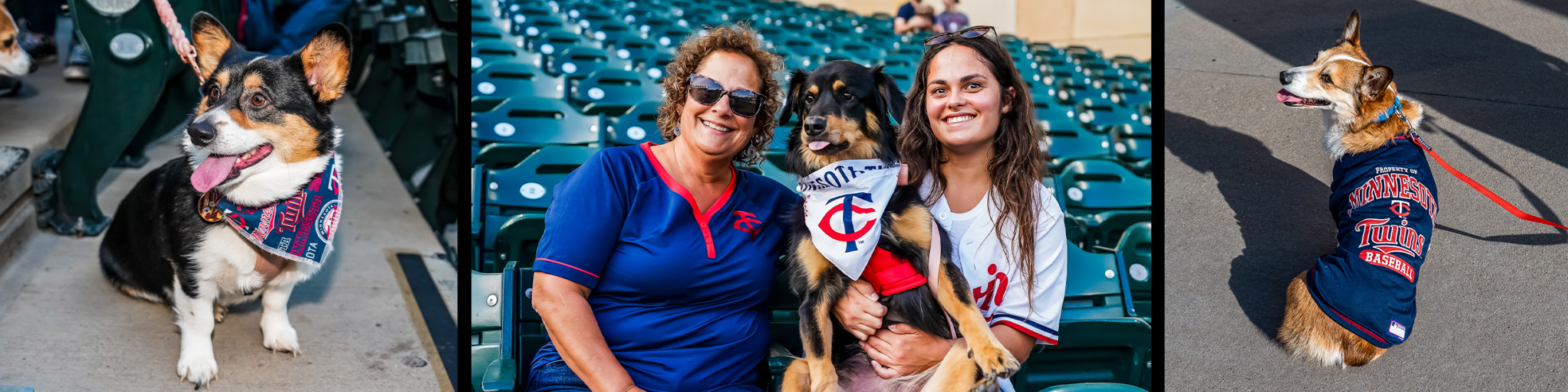 “Bark at the Park” Day at Target Field