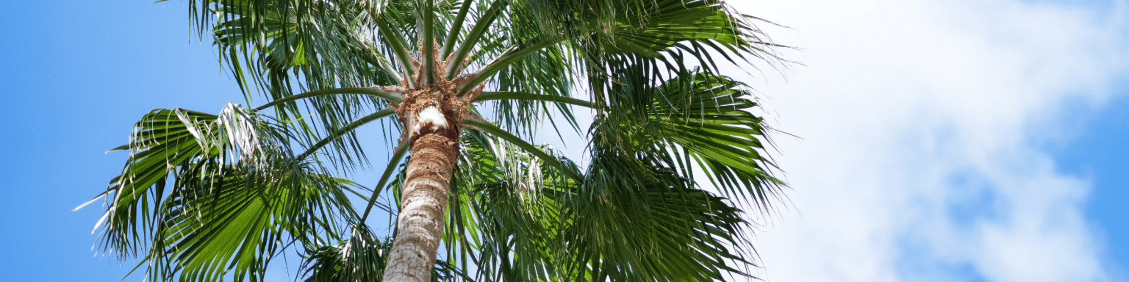 Southwest Florida Community Grants