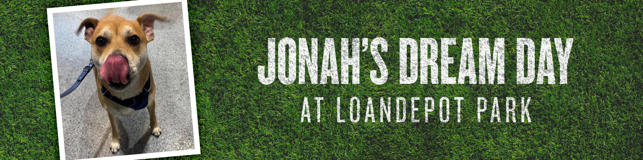 Jonah's Dream Day at loanDepot park