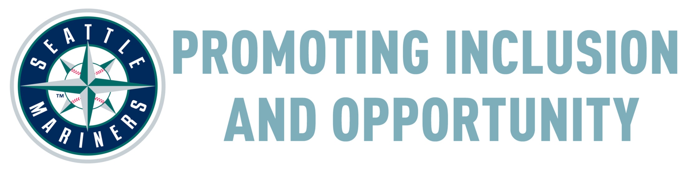 Promoting Inclusion and Opportunity