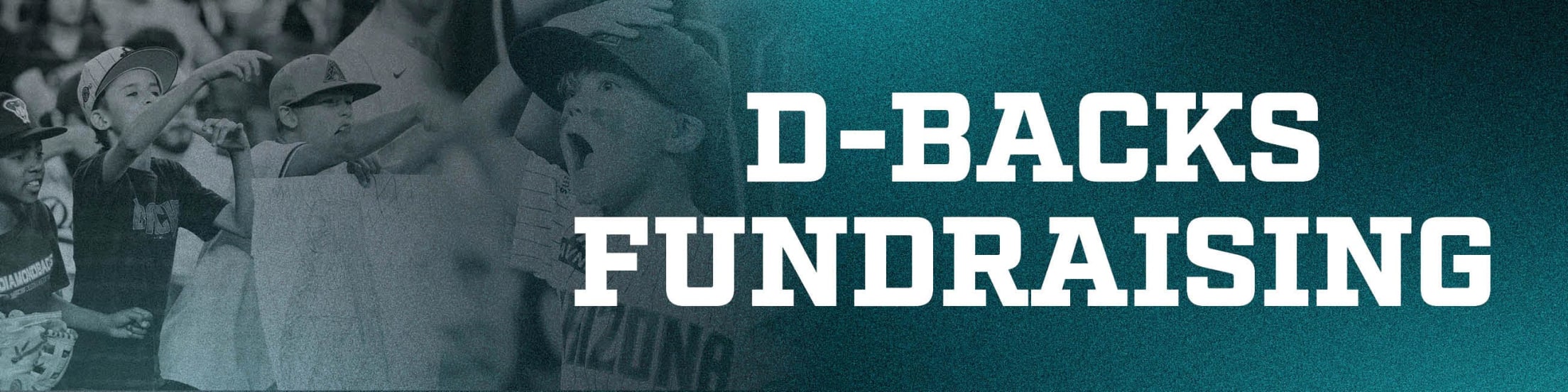 D-backs Fundraising